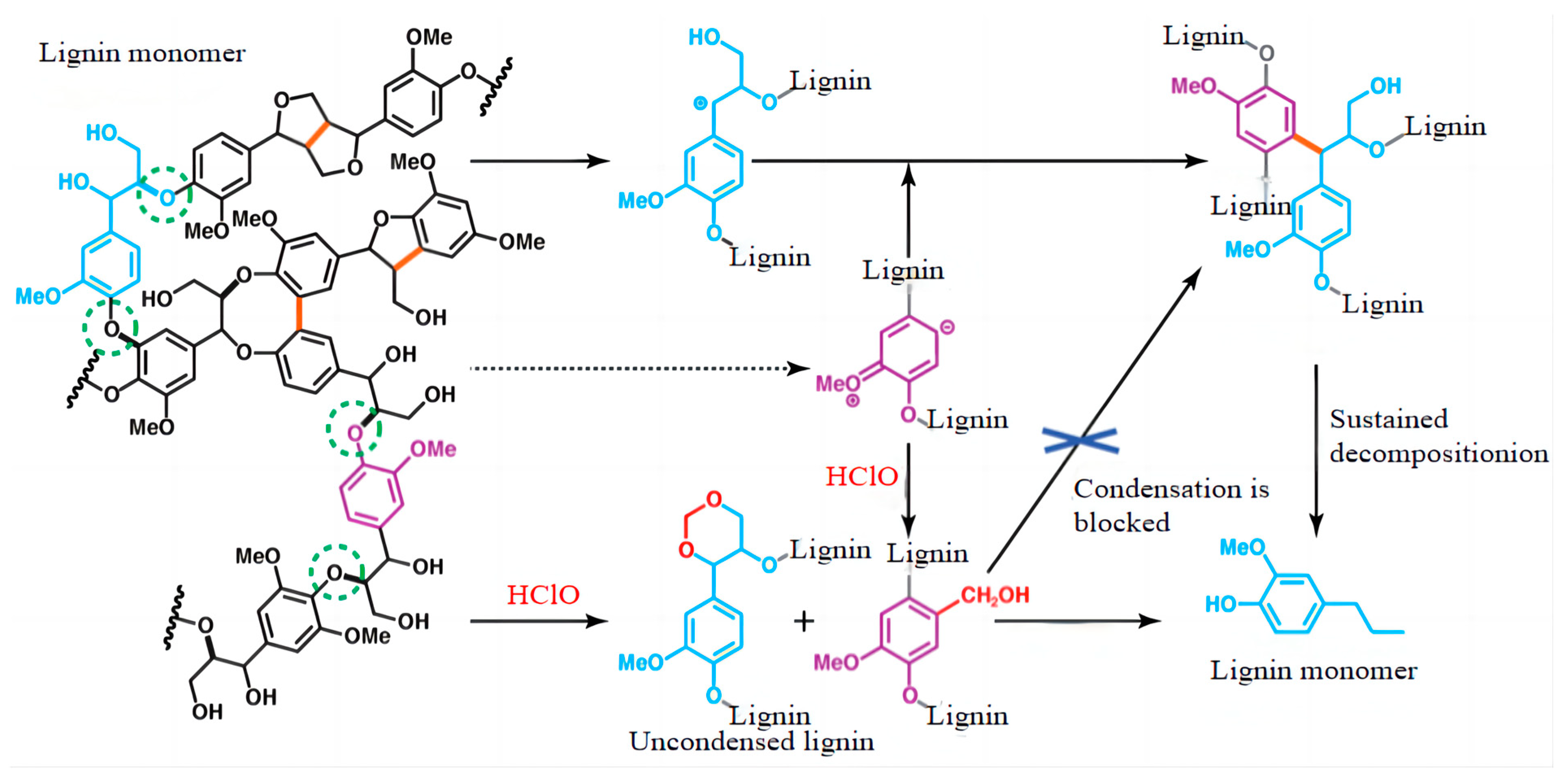 Polymers 16 02433 g009