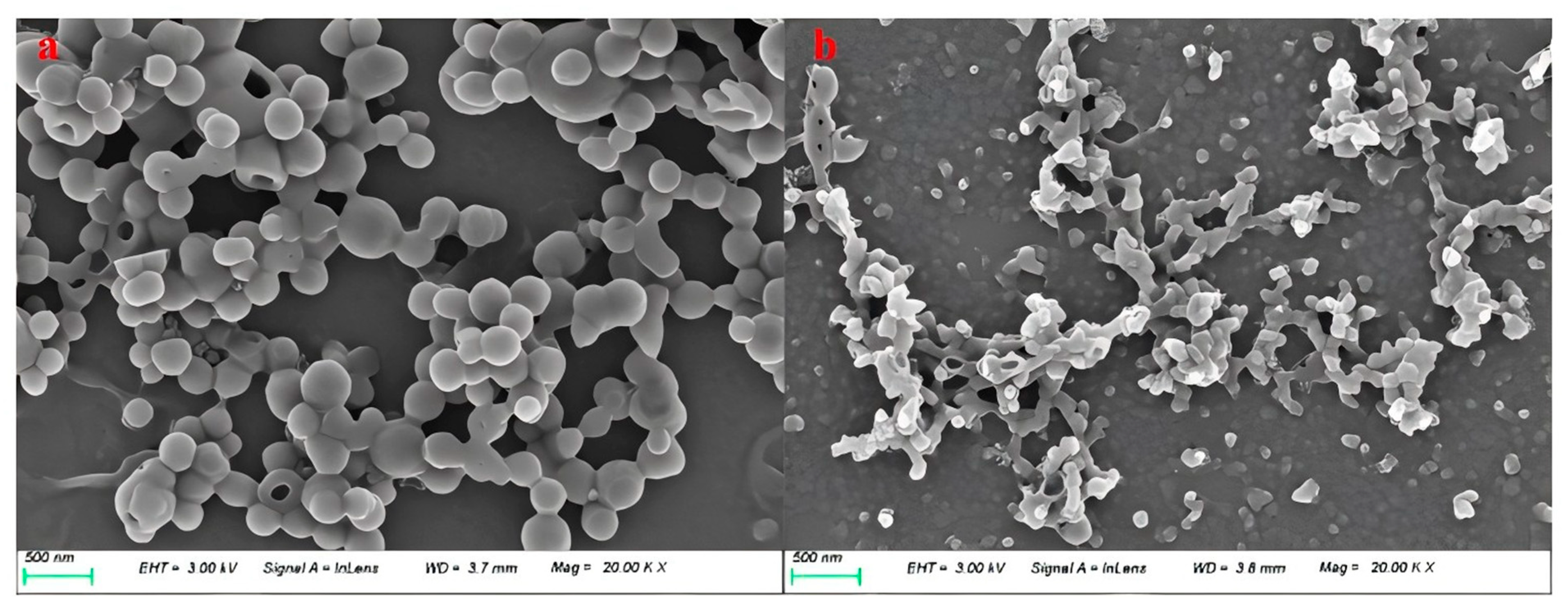Polymers 16 02433 g011