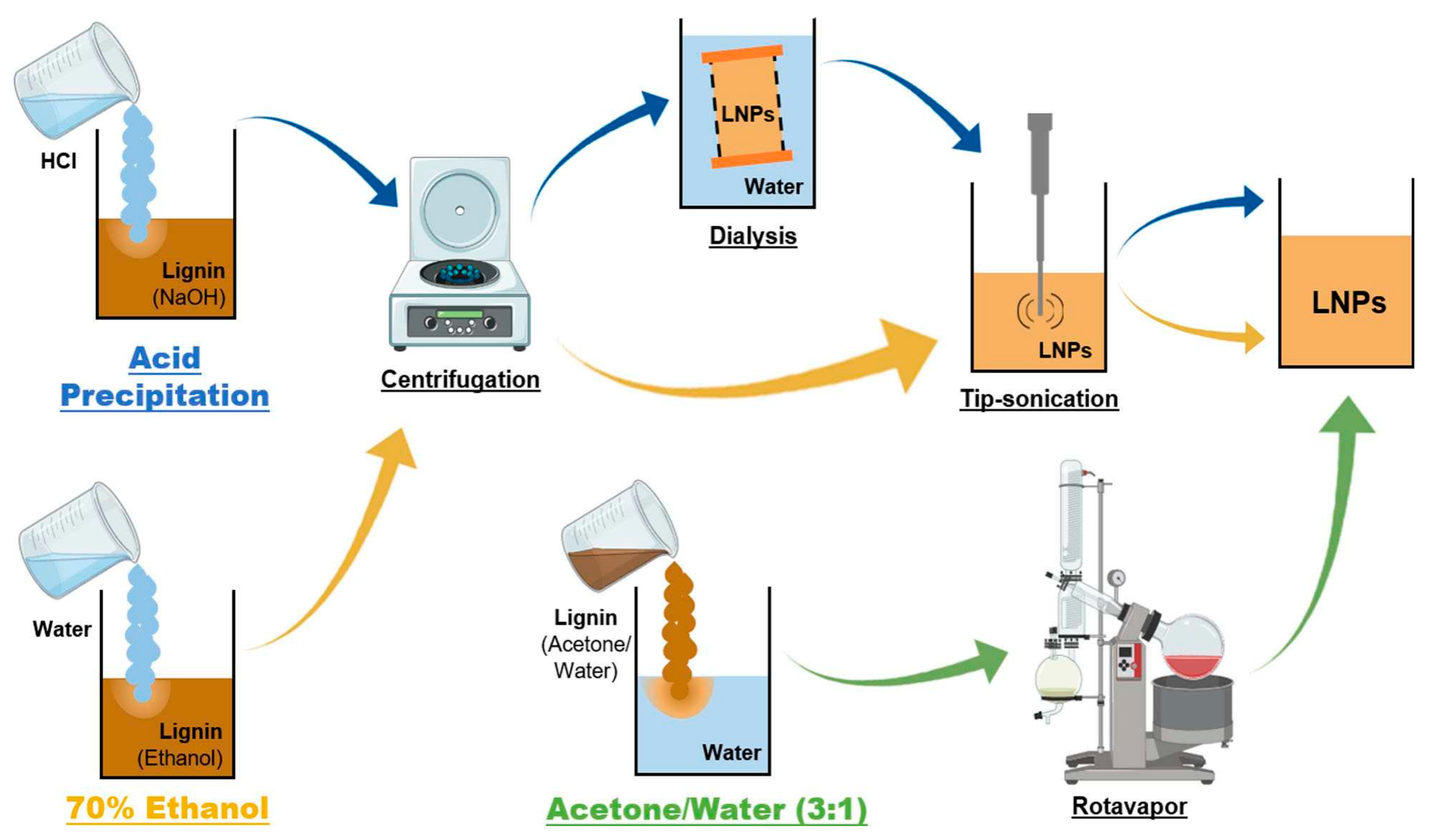 Polymers 16 02433 g014
