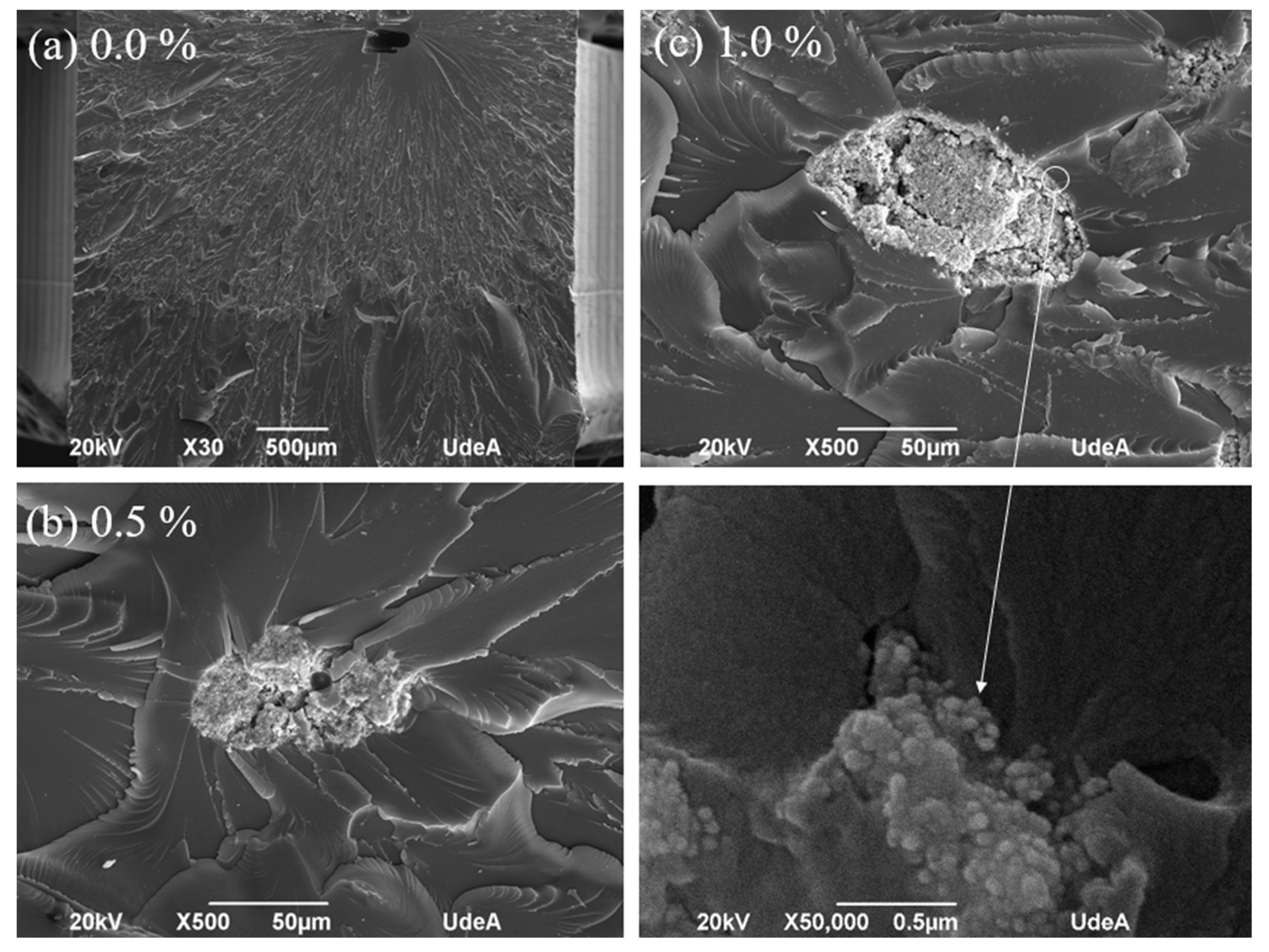 Polymers 16 02434 g008
