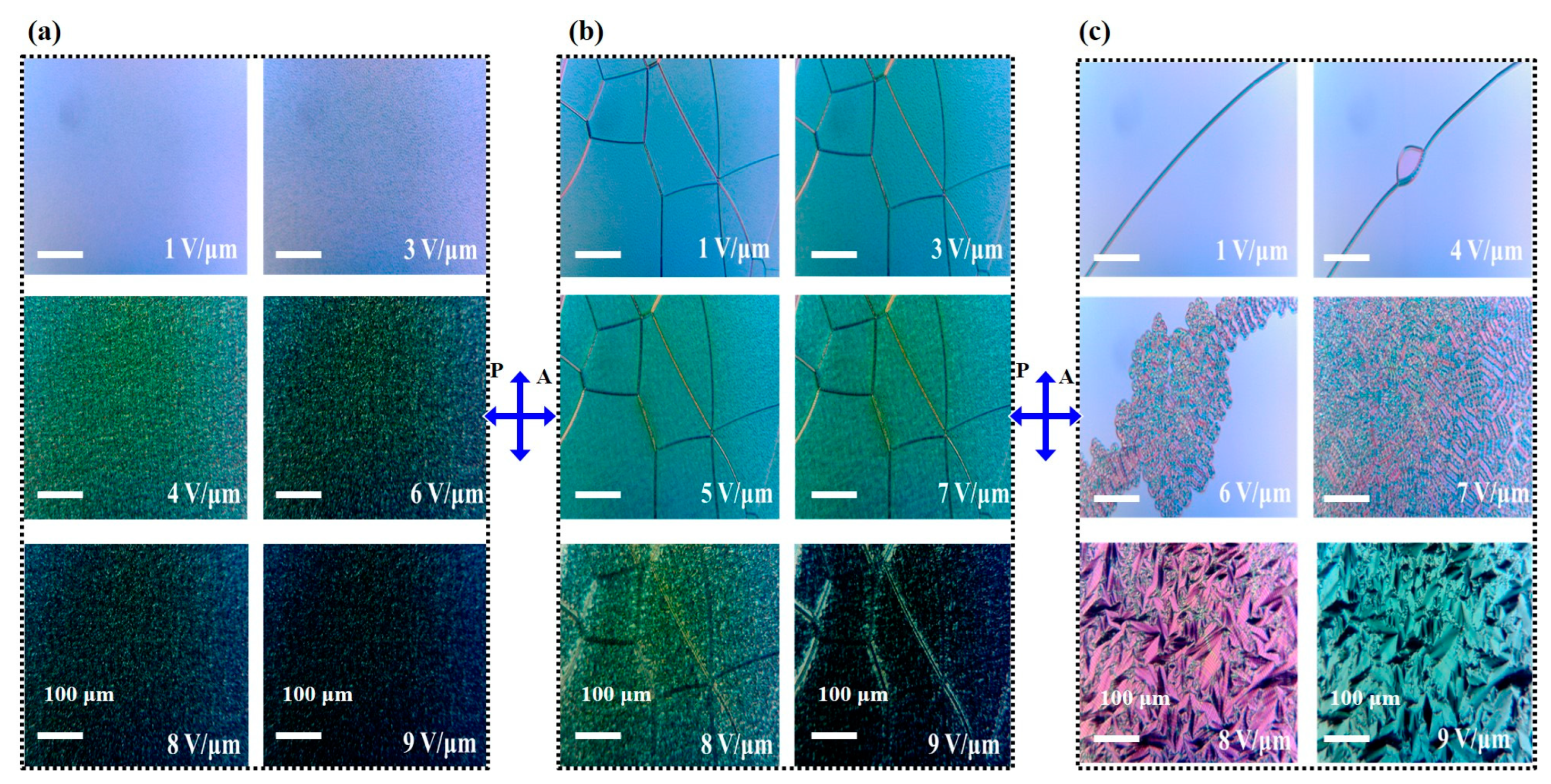 Polymers 16 02436 g005