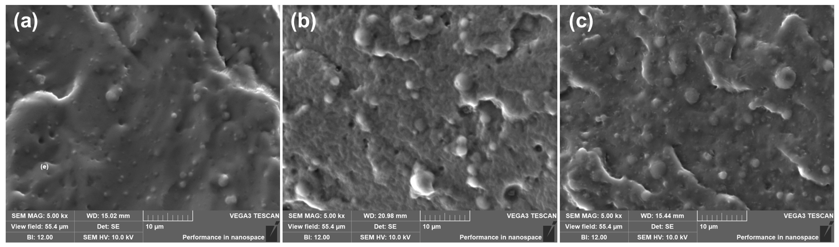 Polymers 16 02438 g006