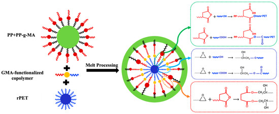 ぱーぷる A Promising Recycling Strategy via Processing Polypropylene