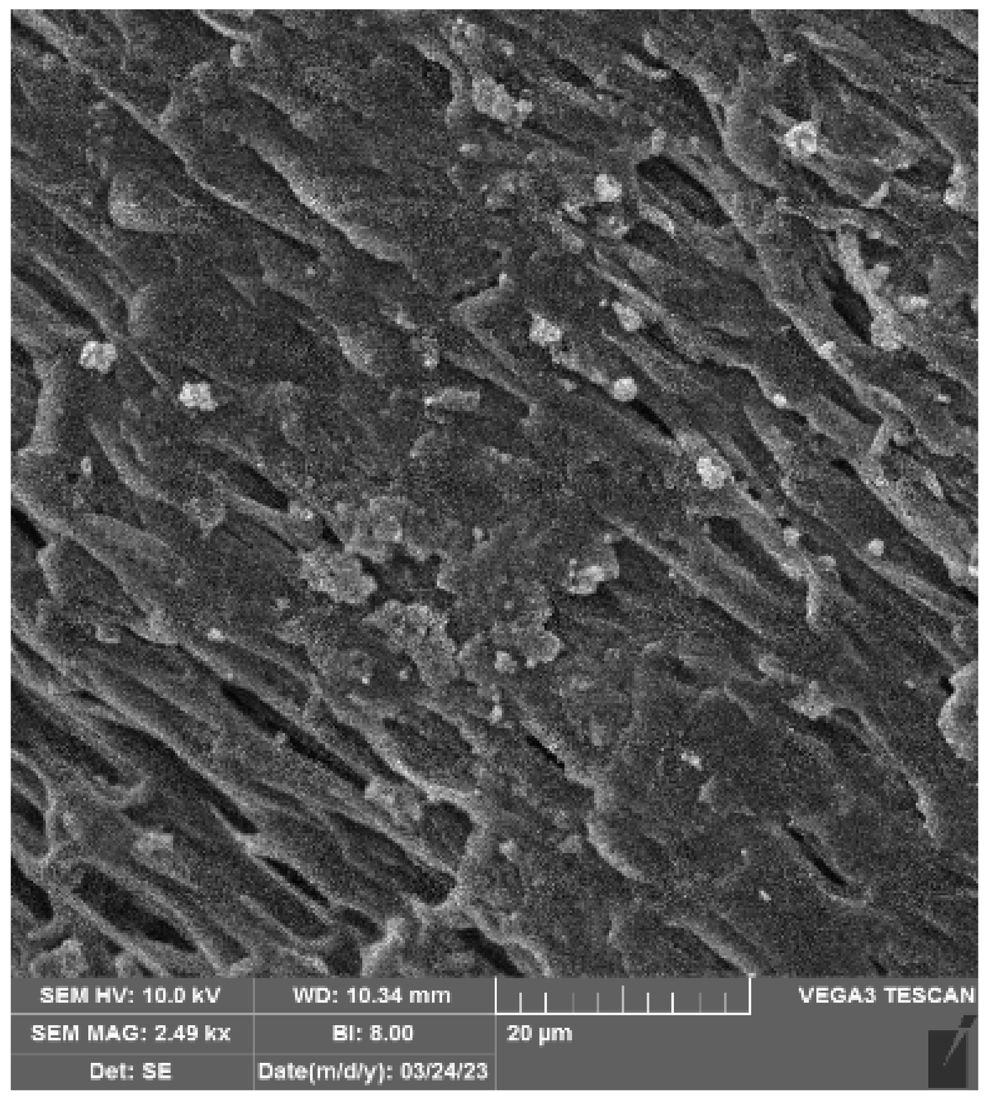 Polymers 16 02443 g001