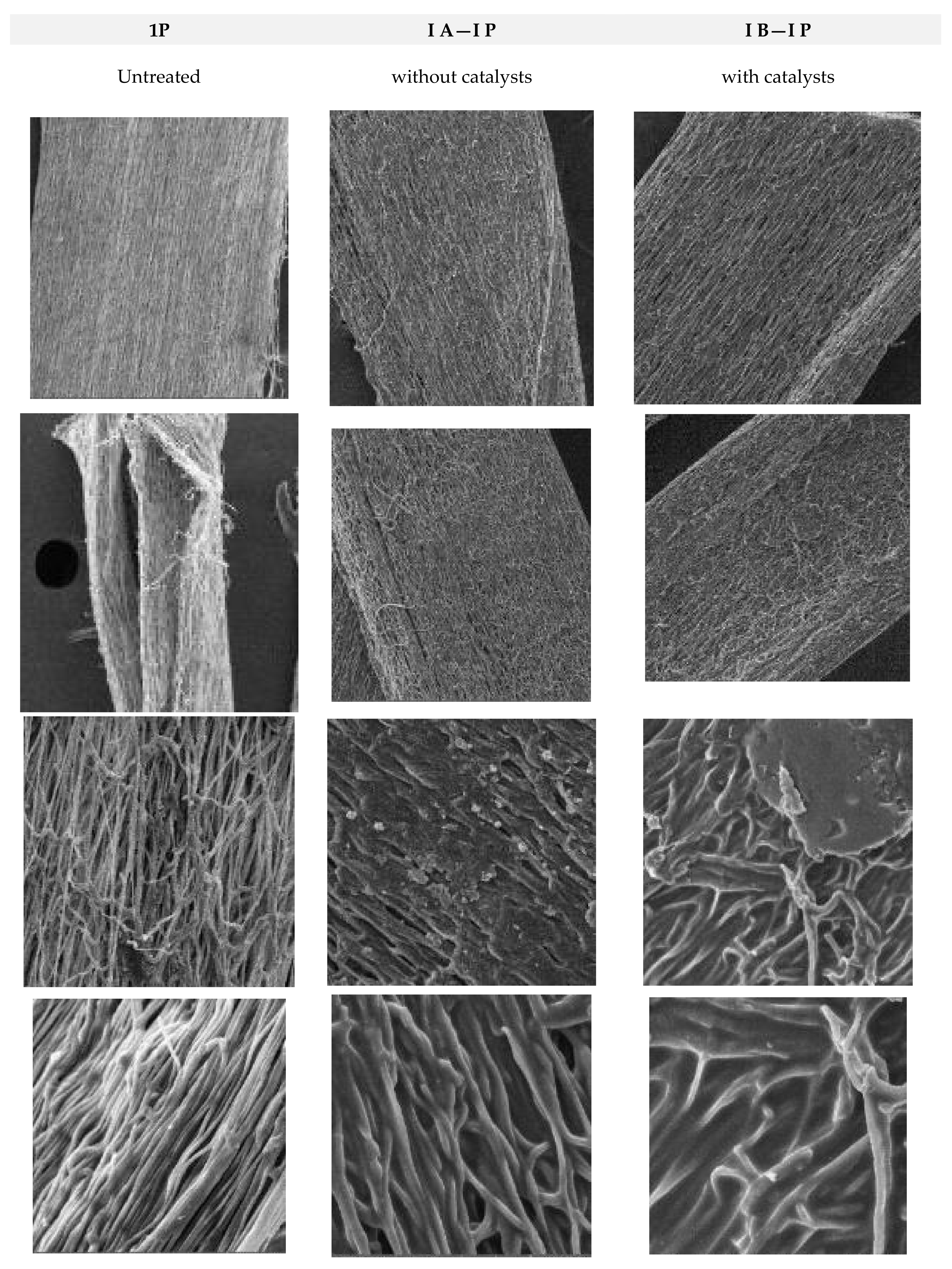 Polymers 16 02443 g007a