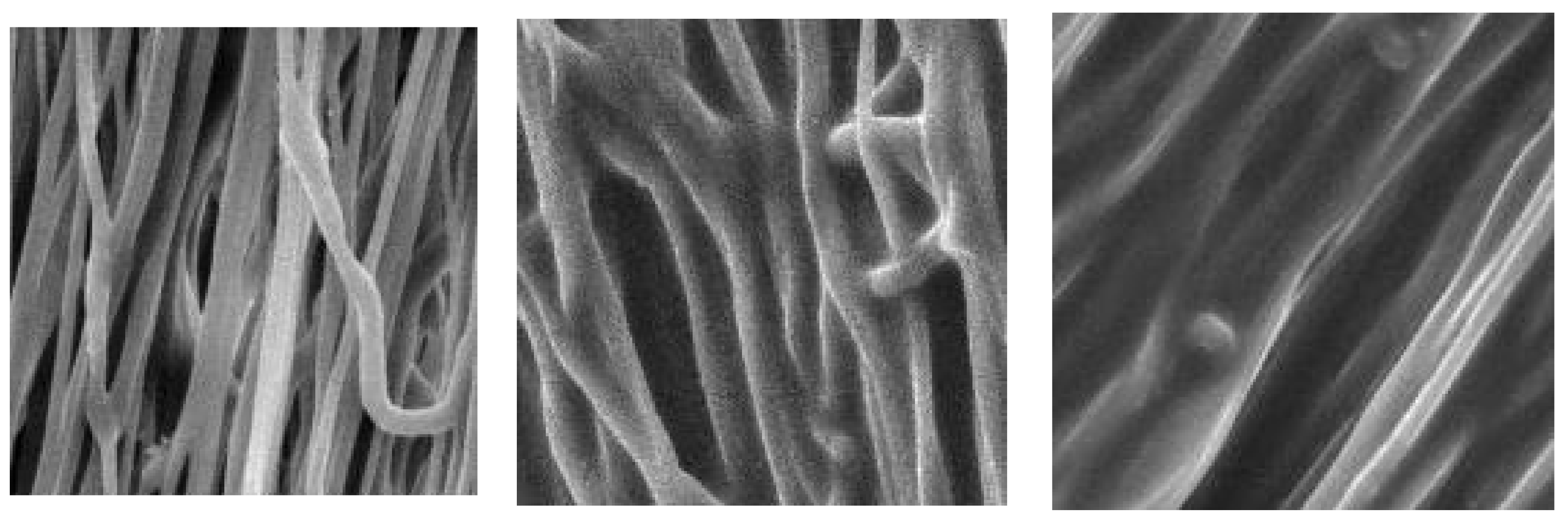 Polymers 16 02443 g007b