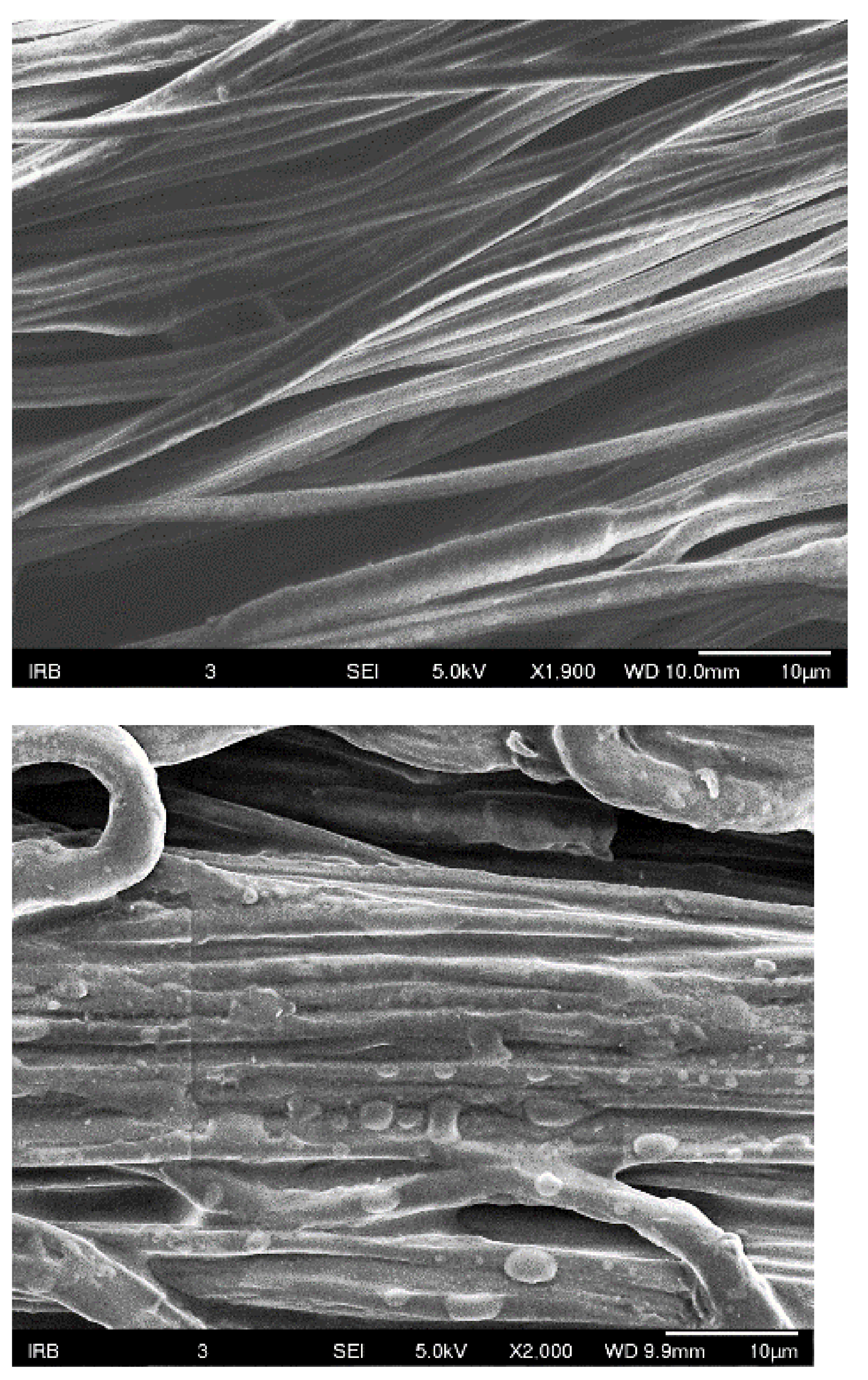 Polymers 16 02443 g008