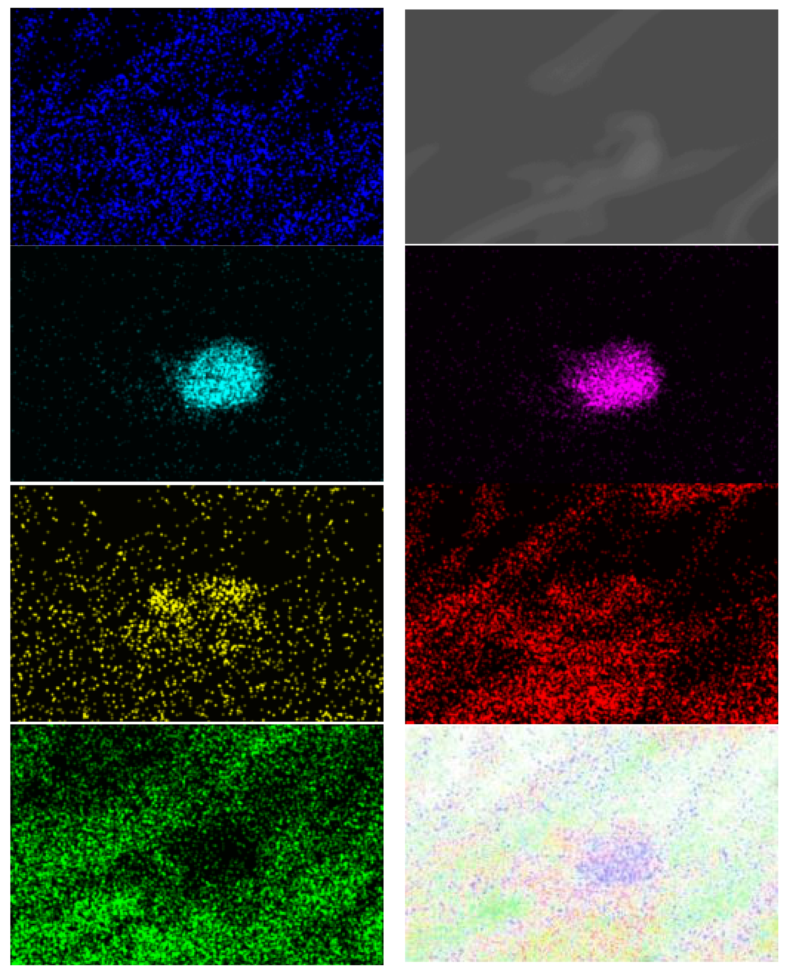 Polymers 16 02443 g012