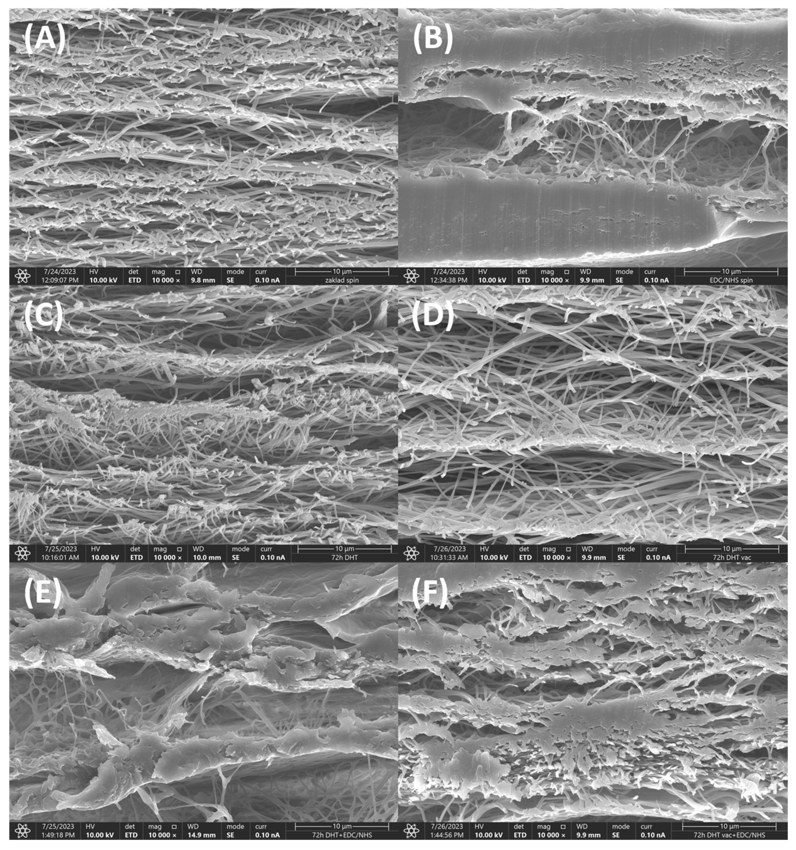 Polymers 16 02453 g007