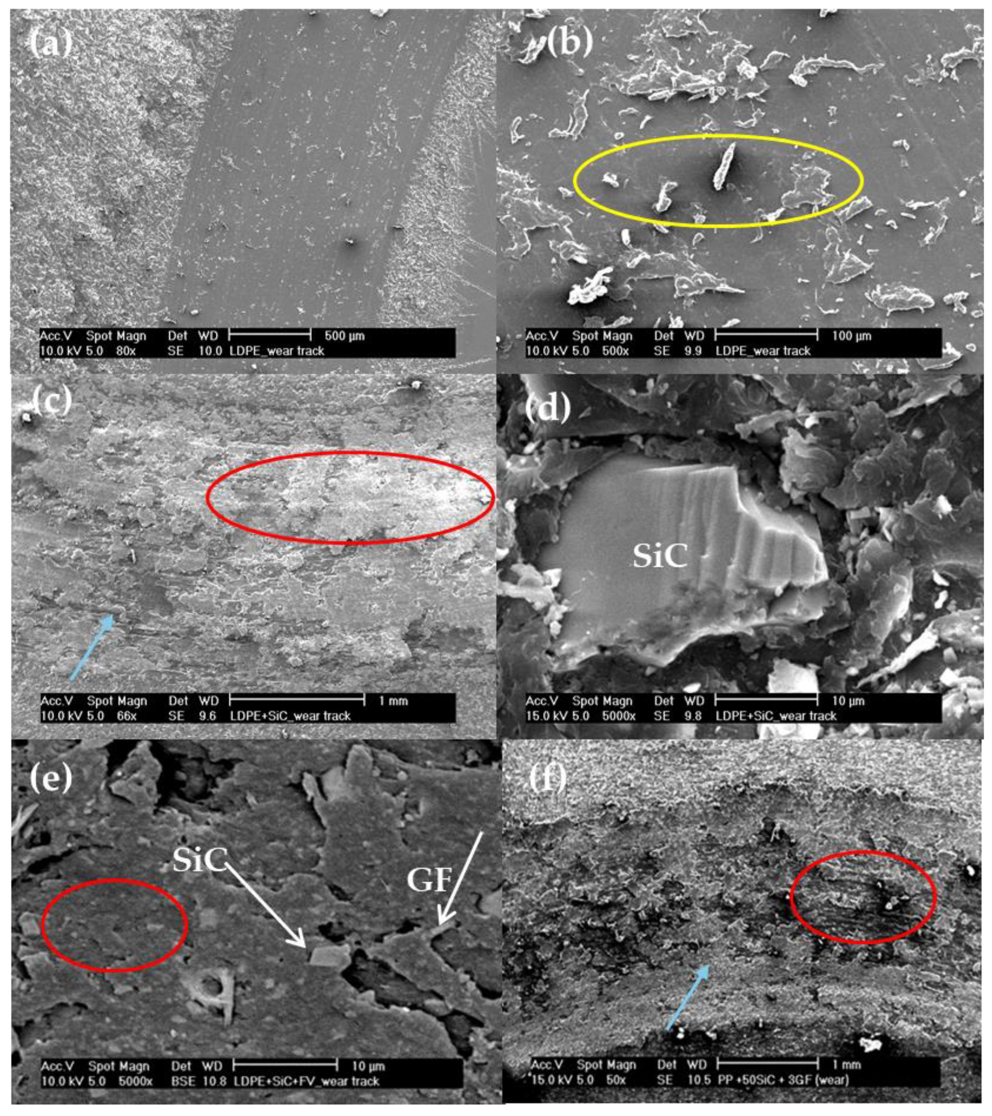 Polymers 16 02454 g011