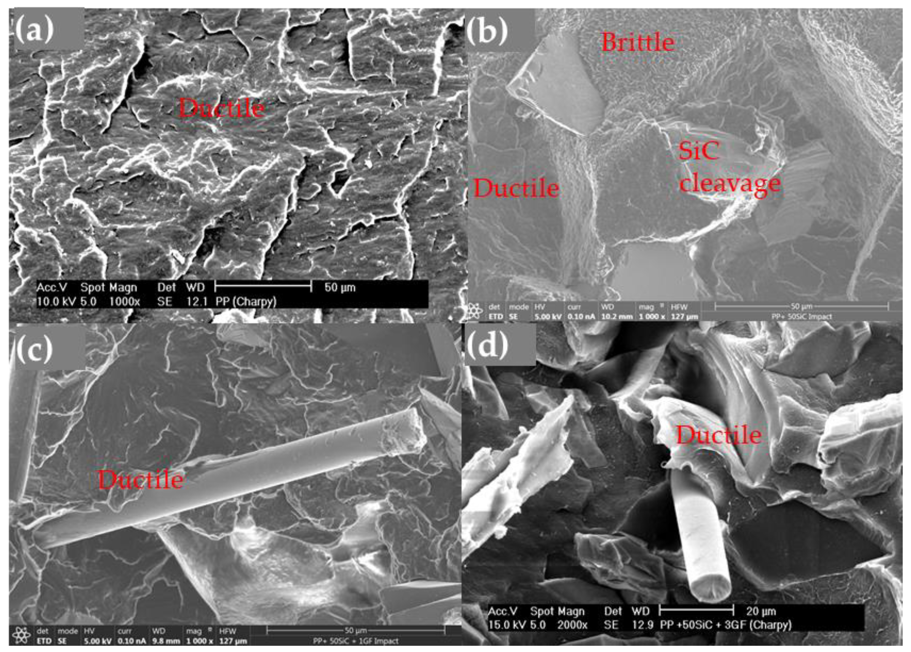 Polymers 16 02454 g014