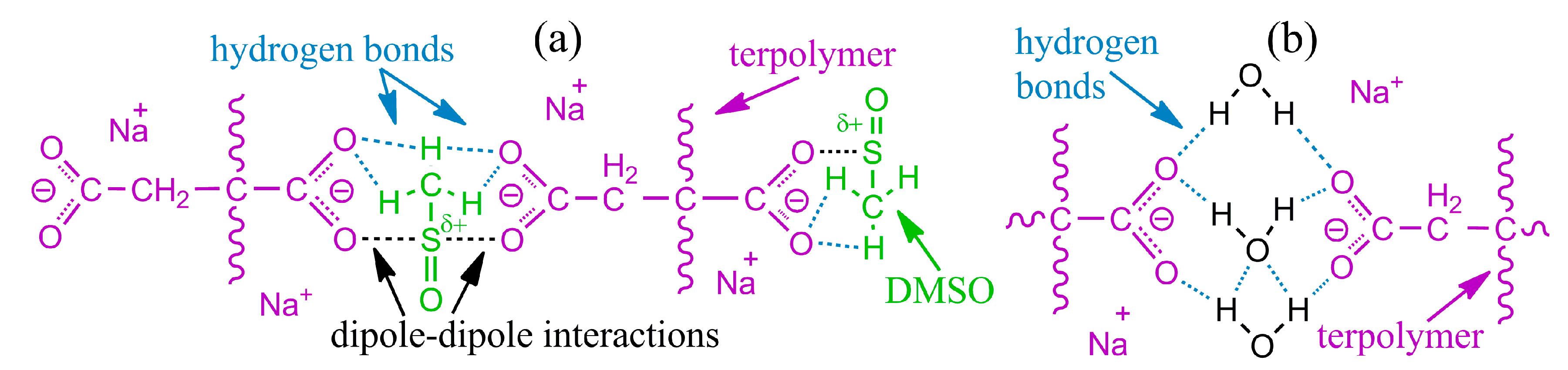 Polymers 16 02458 g013