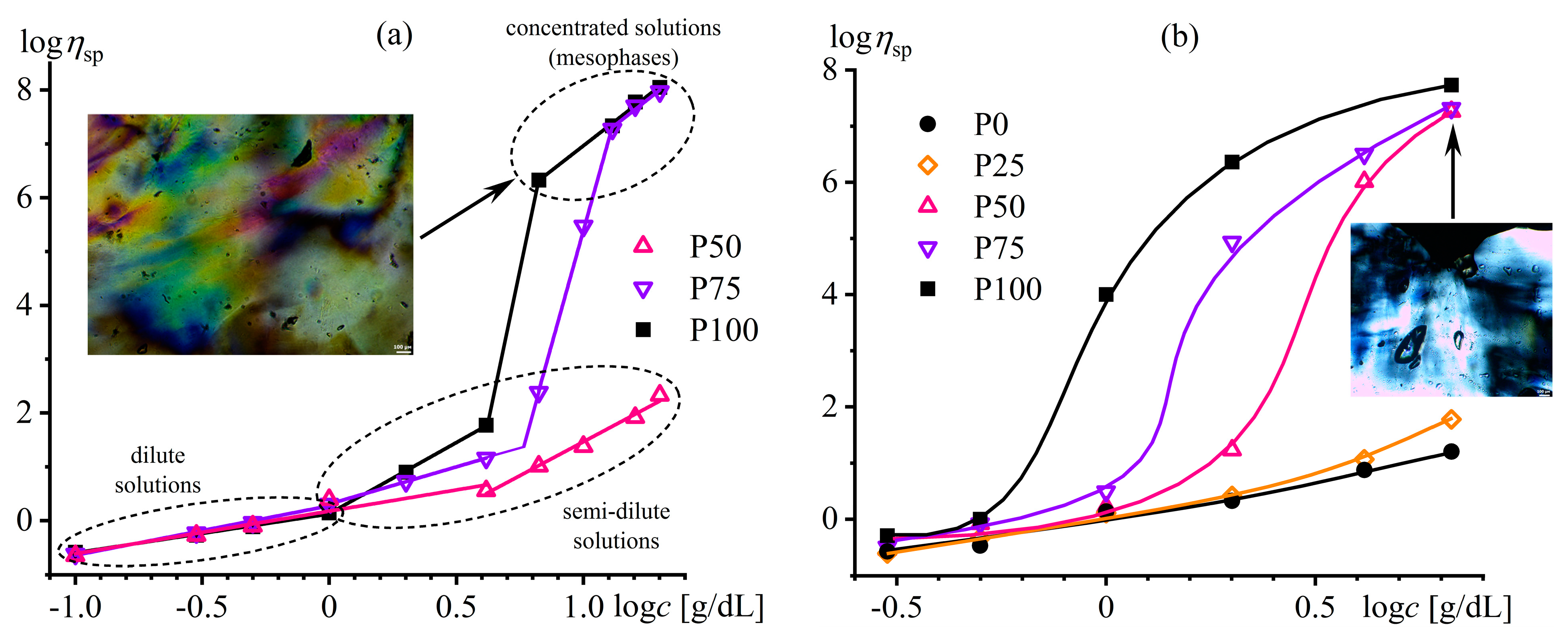 Polymers 16 02458 g021