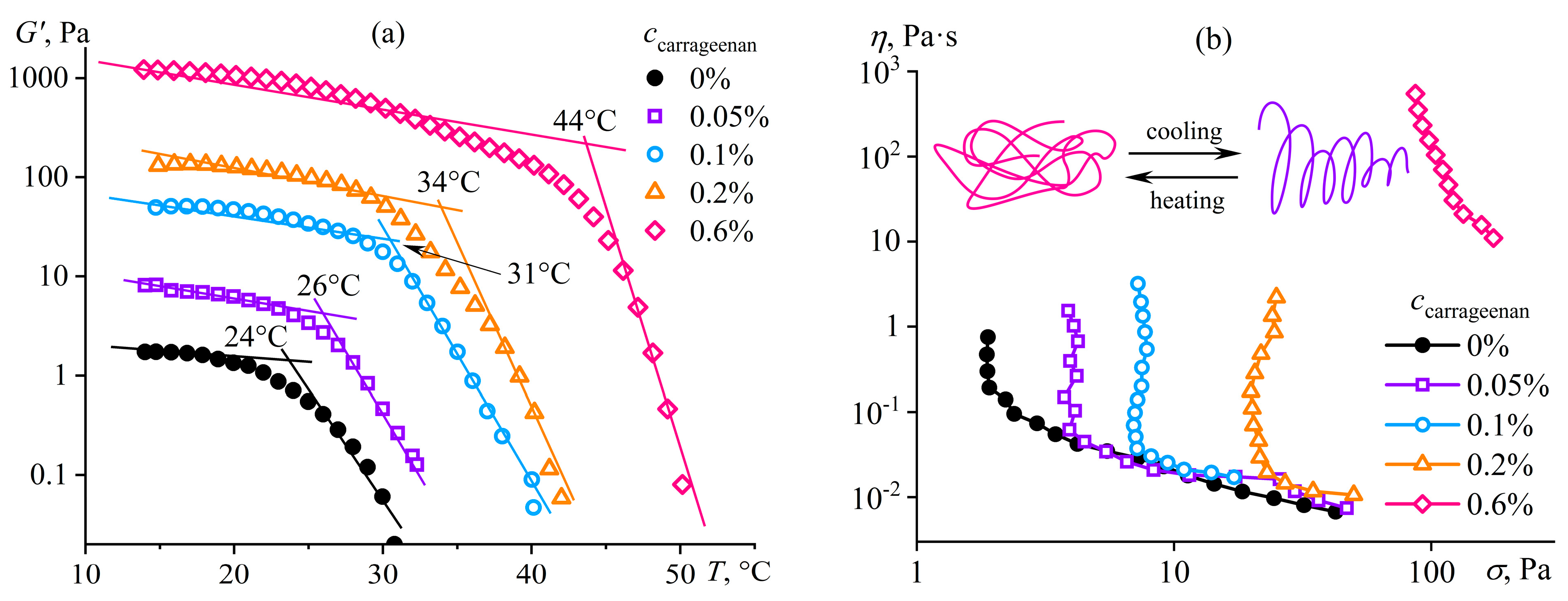 Polymers 16 02458 g023
