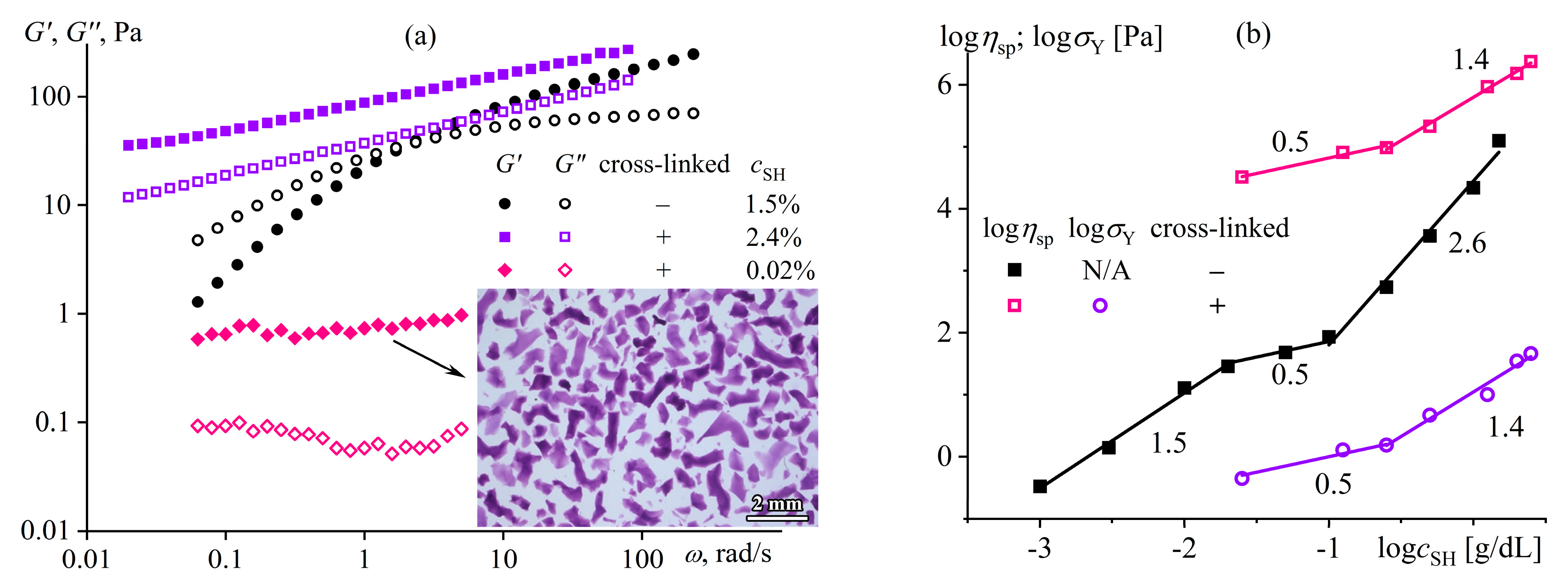 Polymers 16 02458 g043