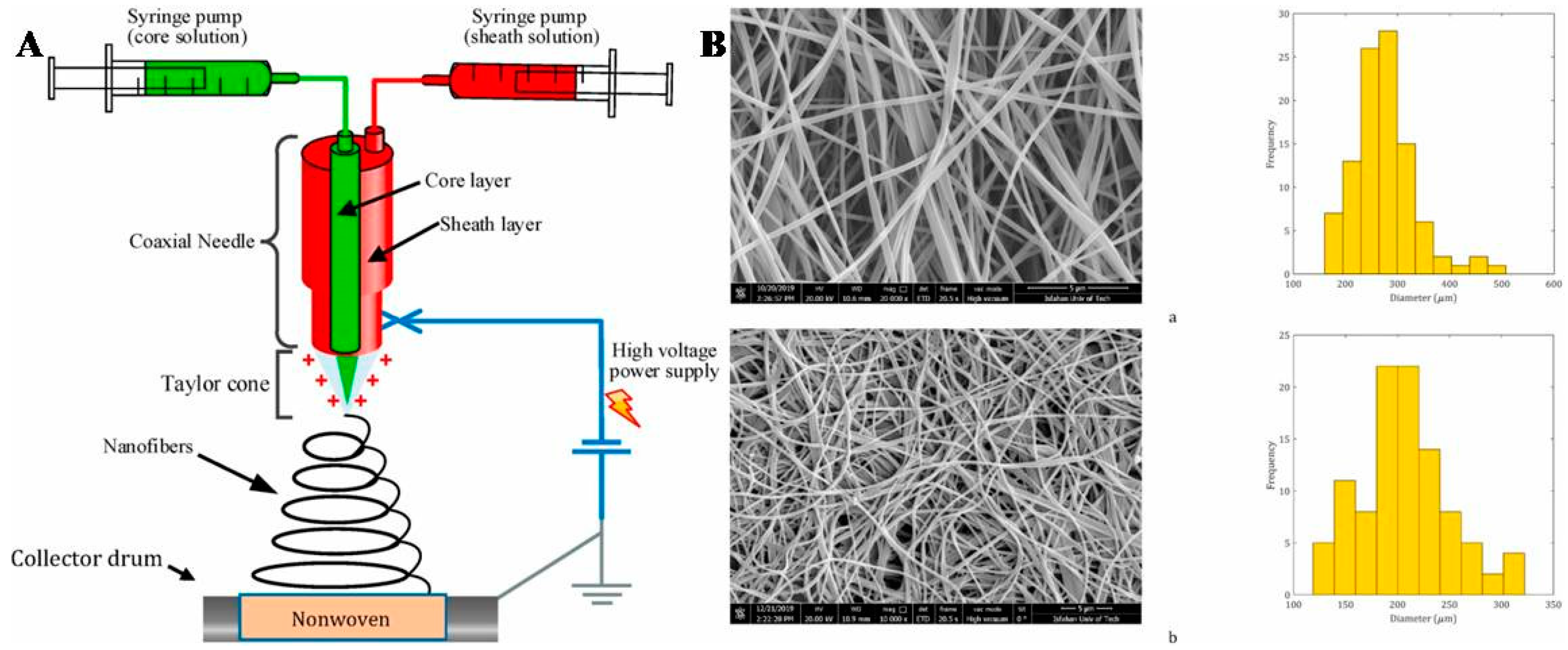 Polymers 16 02459 g005