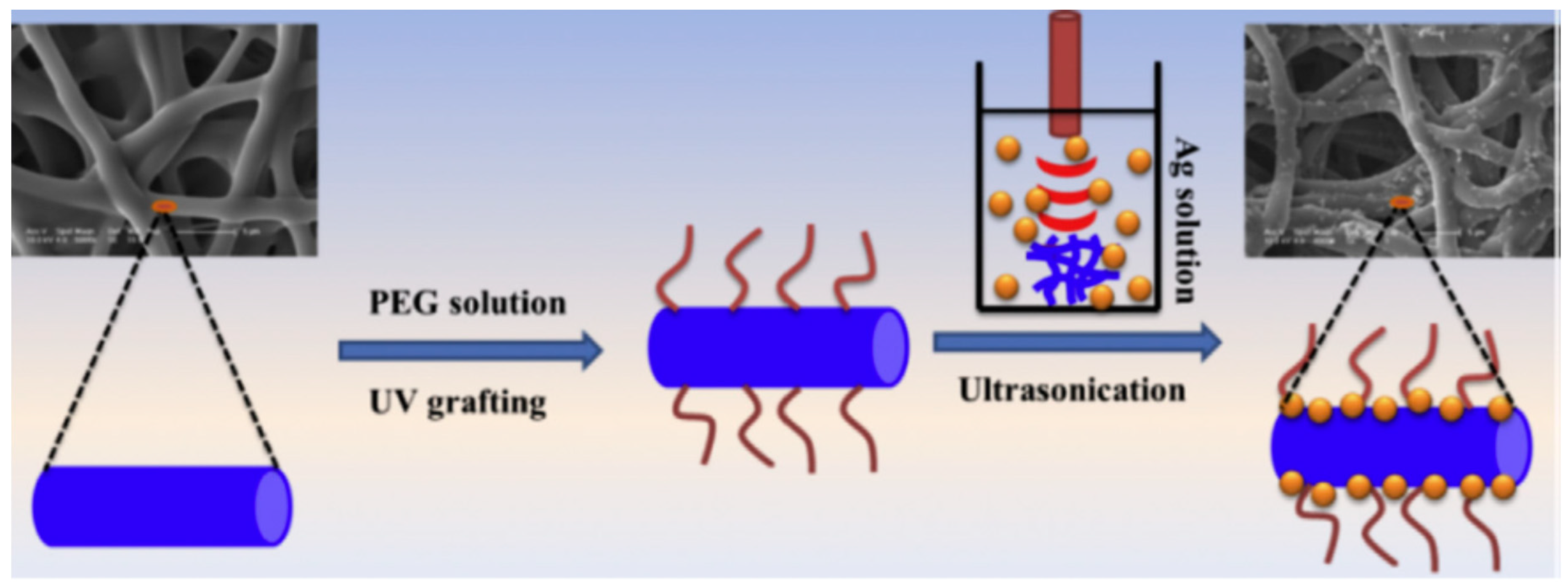 Polymers 16 02459 g007