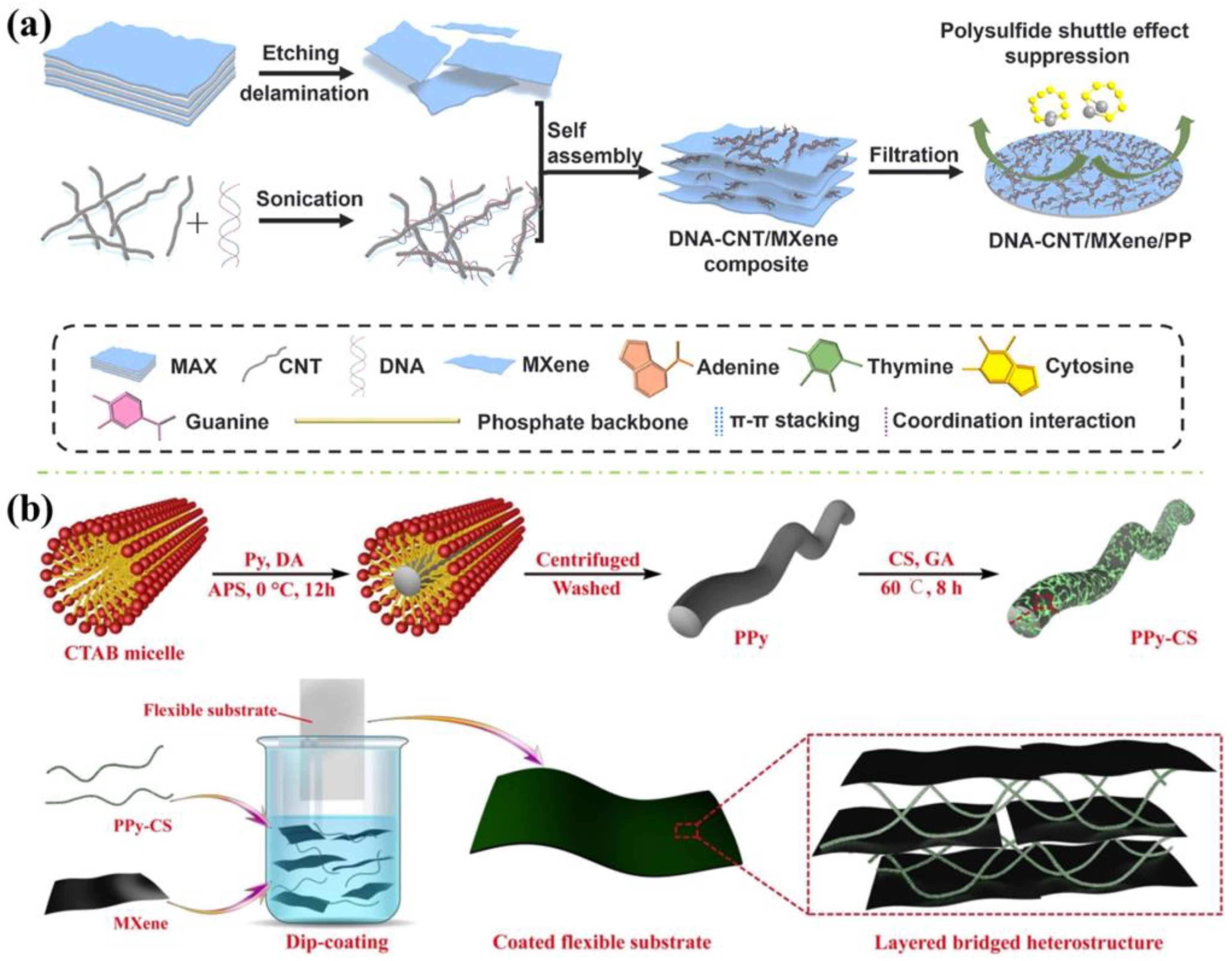 Polymers 16 02461 g003
