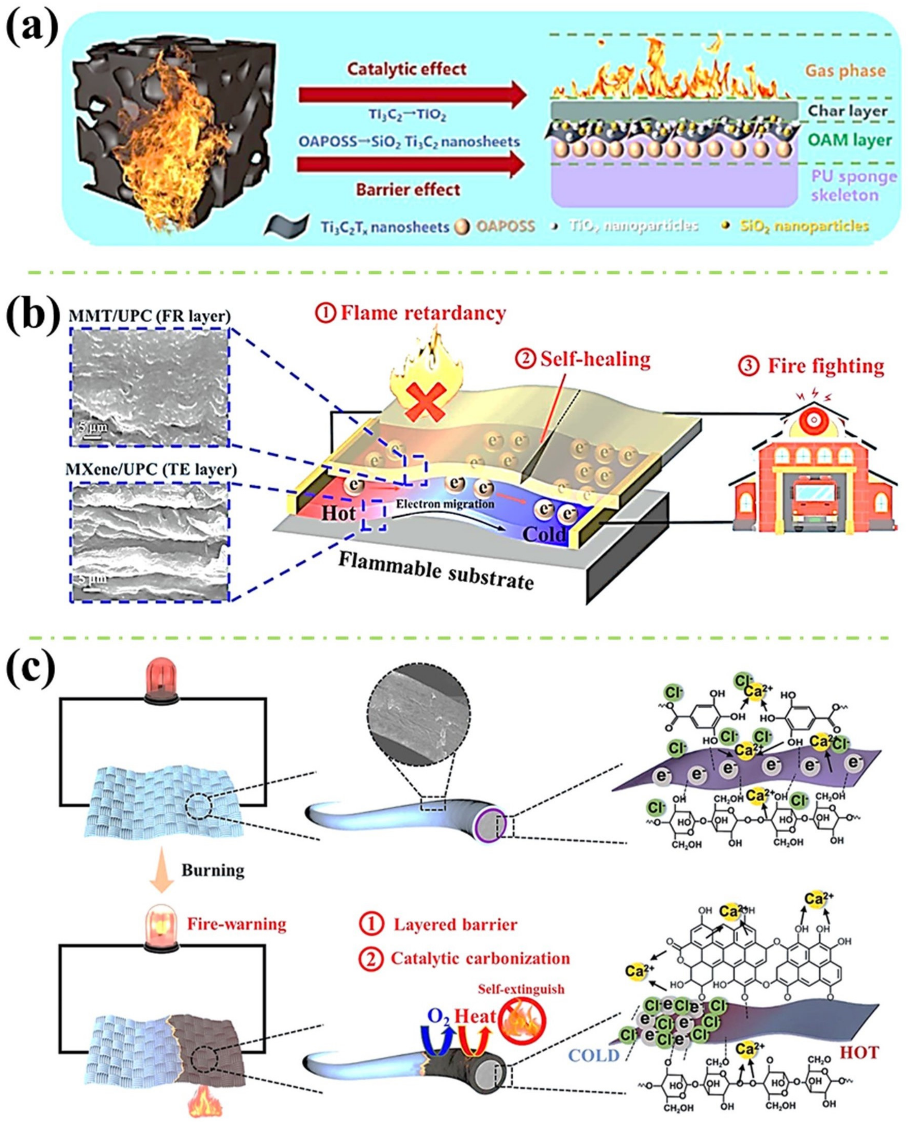 Polymers 16 02461 g005