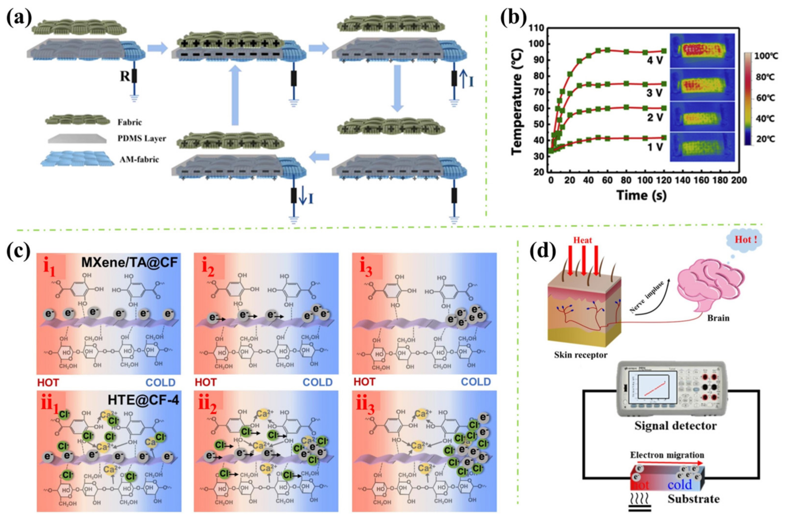 Polymers 16 02461 g006
