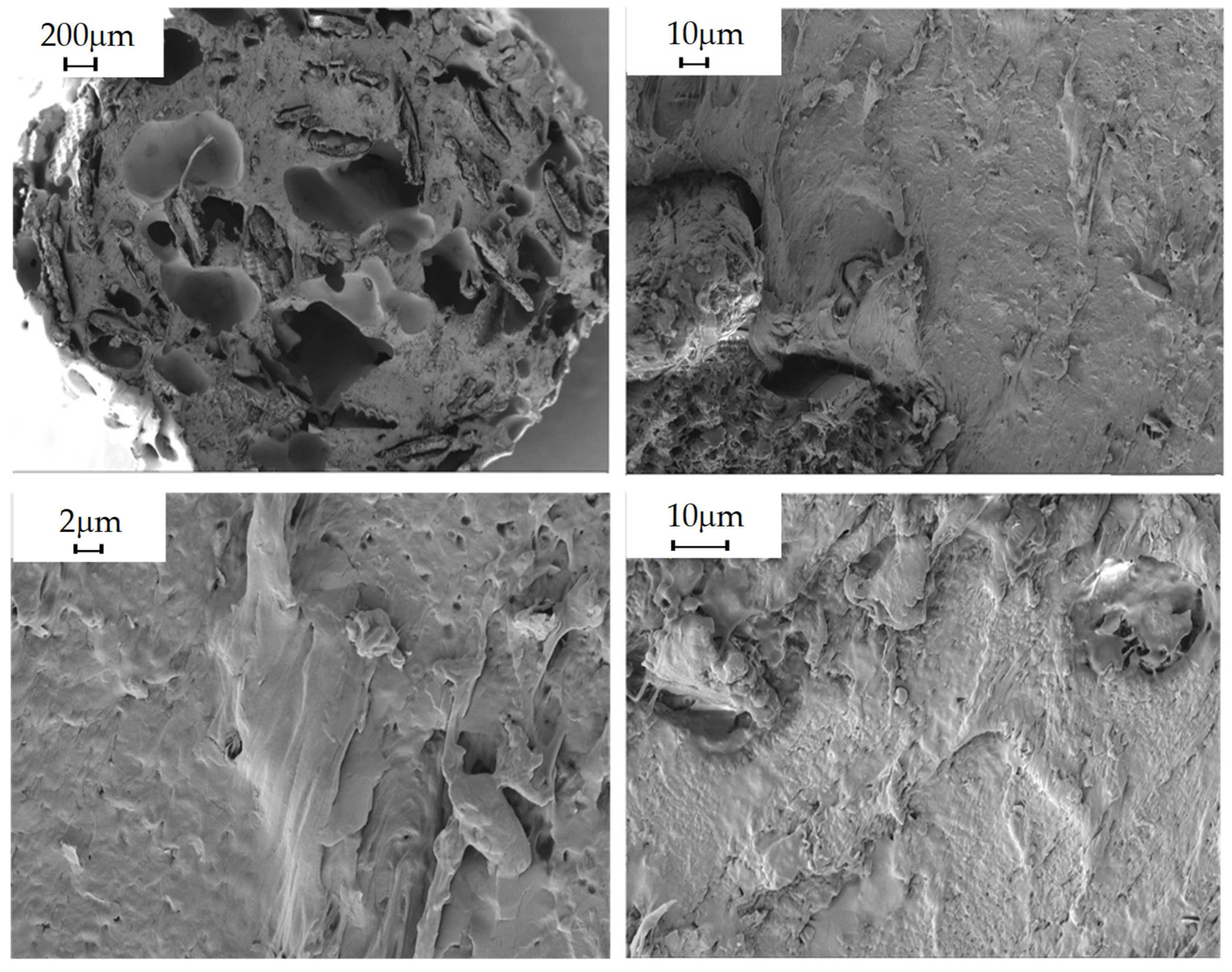 Polymers 16 02462 g005 Polymers 16 02462 g005