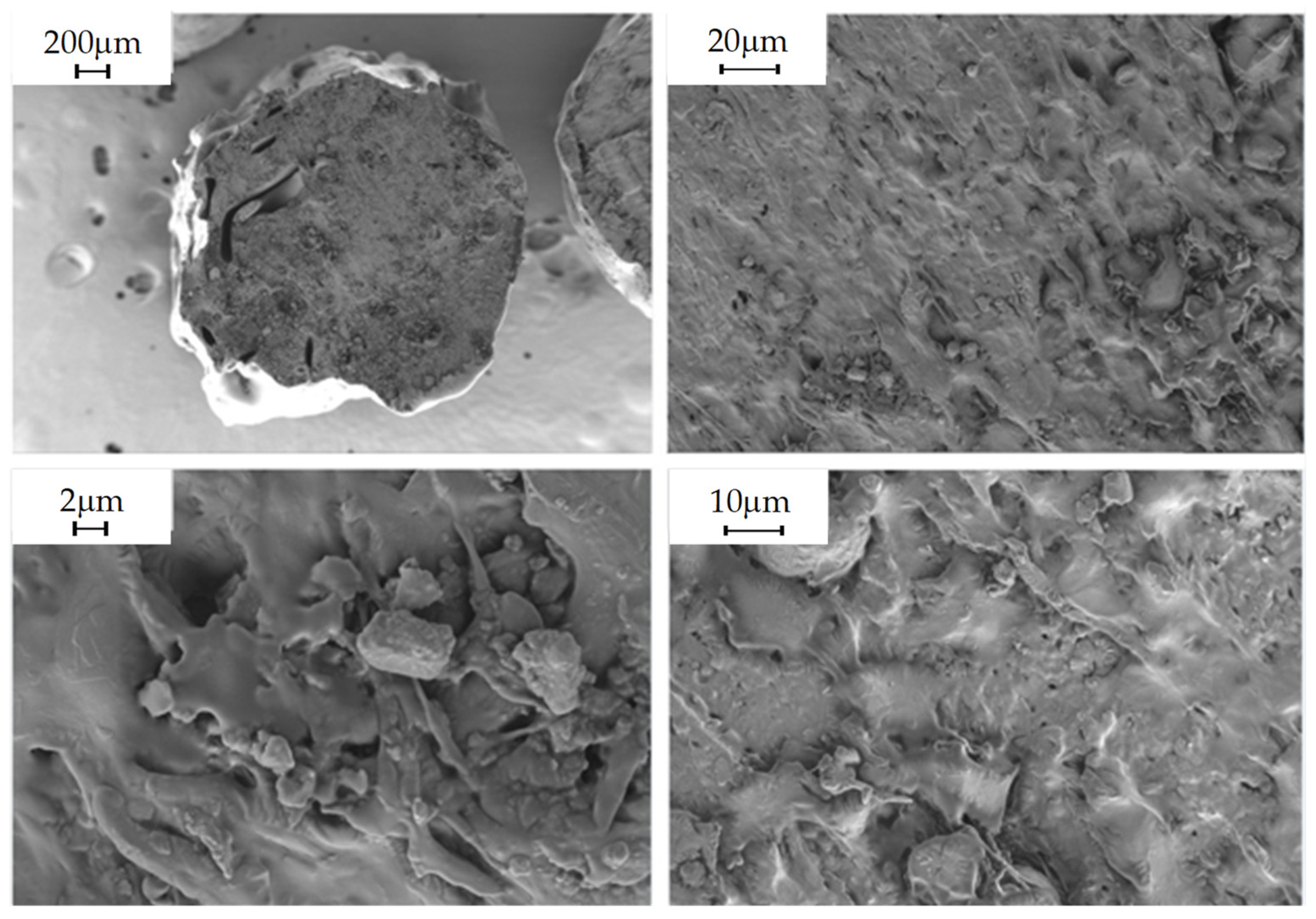 Polymers 16 02462 g007 Polymers 16 02462 g007