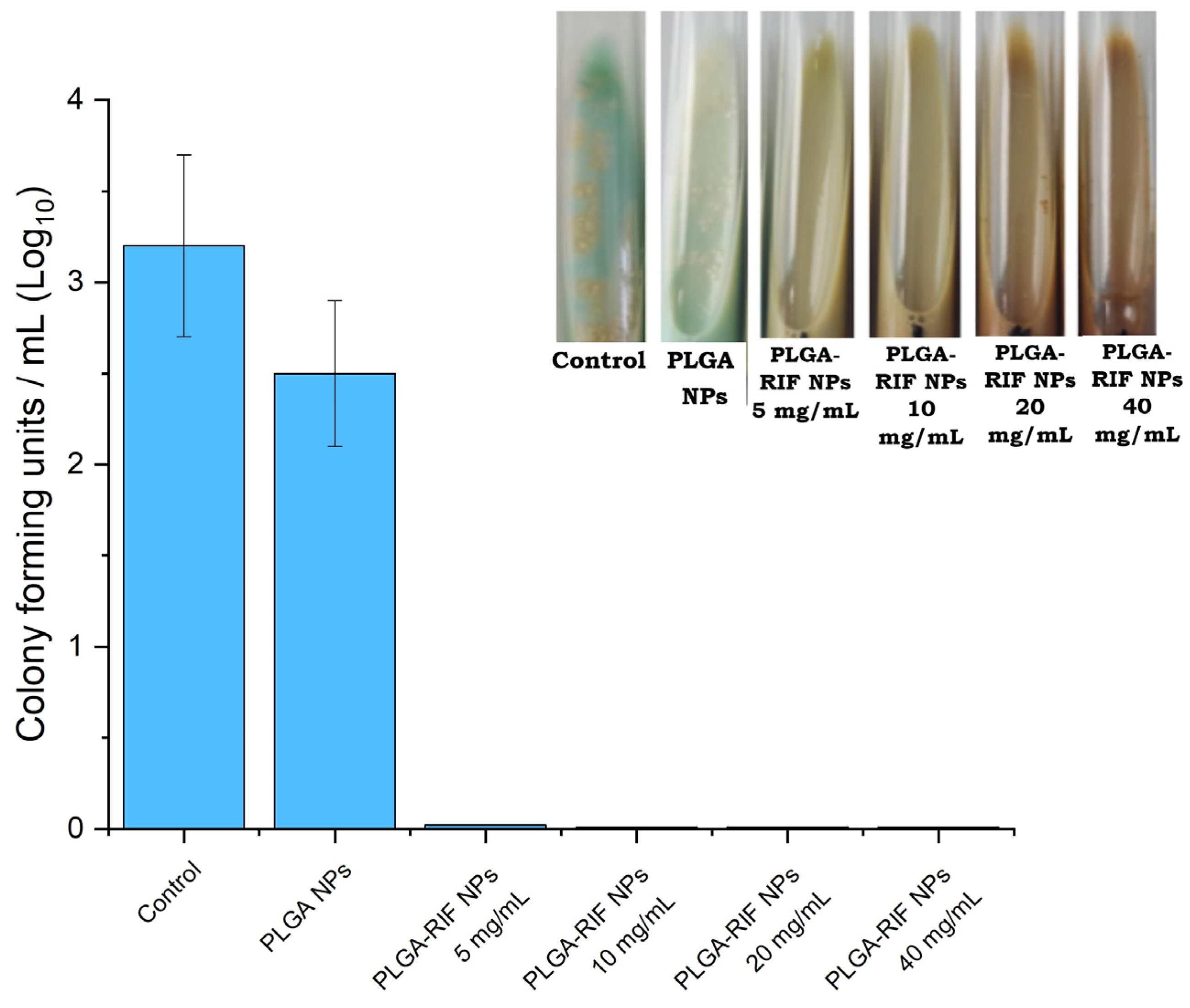 Polymers 16 02466 g009 Polymers 16 02466 g009