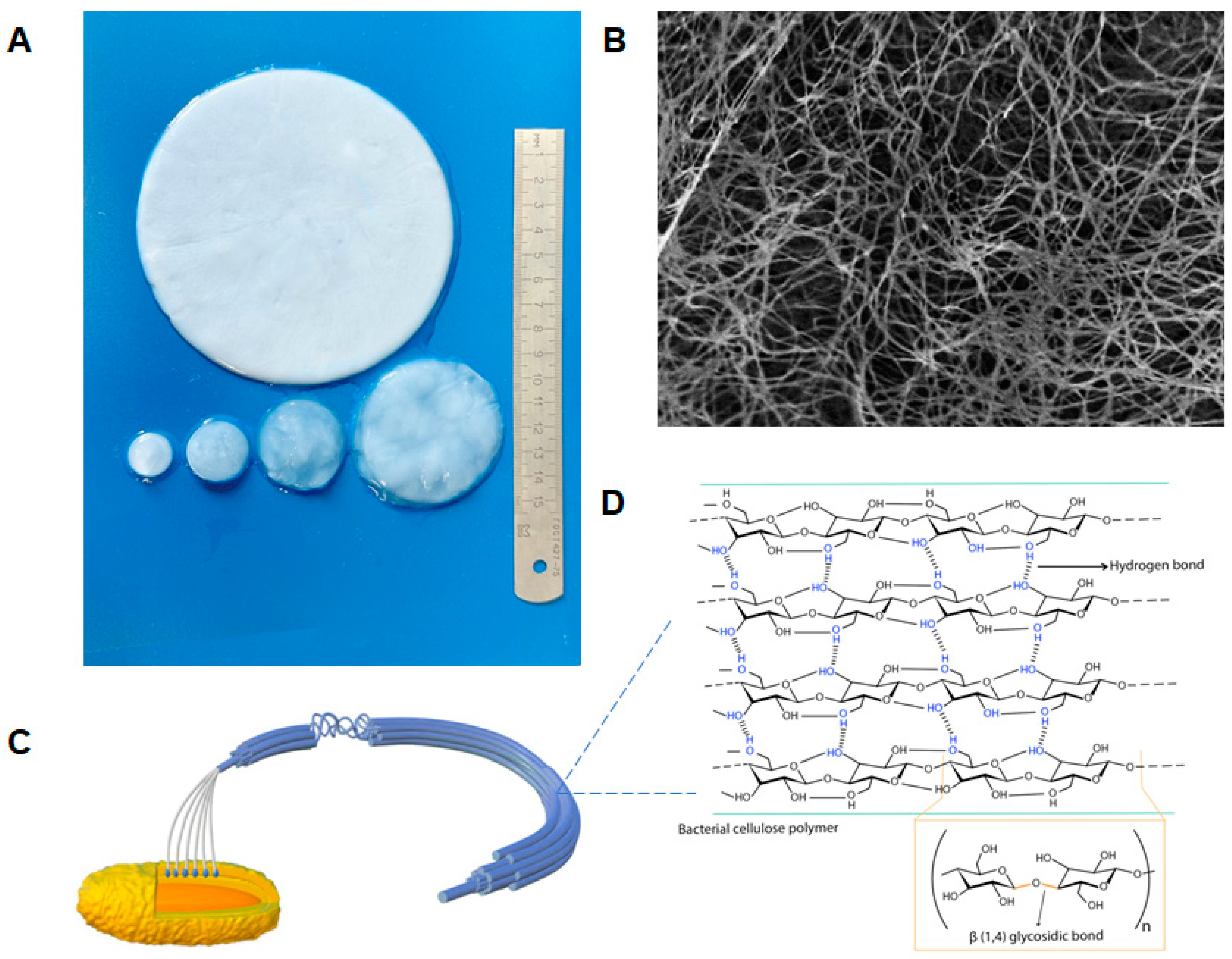 Polymers 16 02468 g001