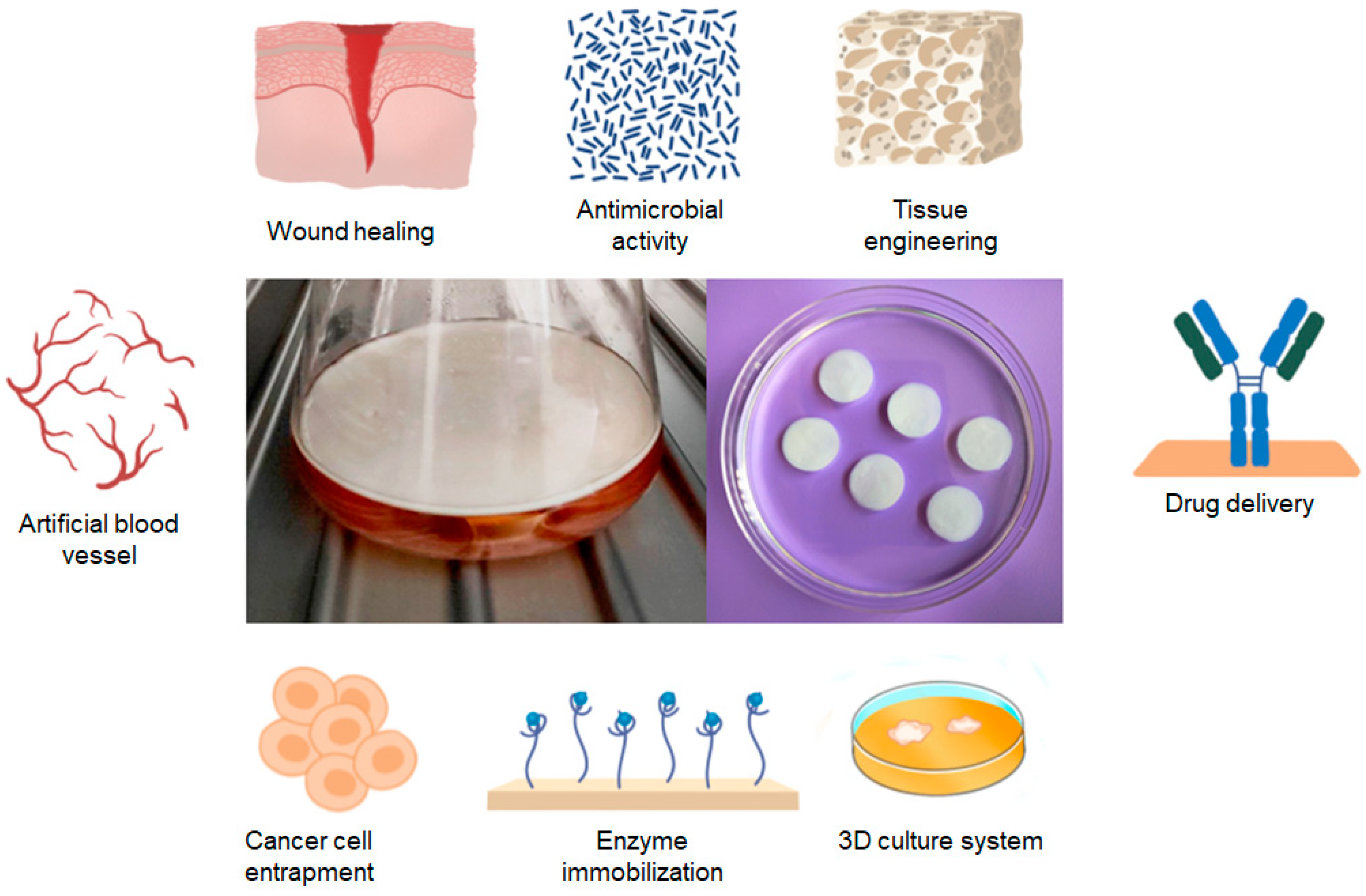 Polymers 16 02468 g002
