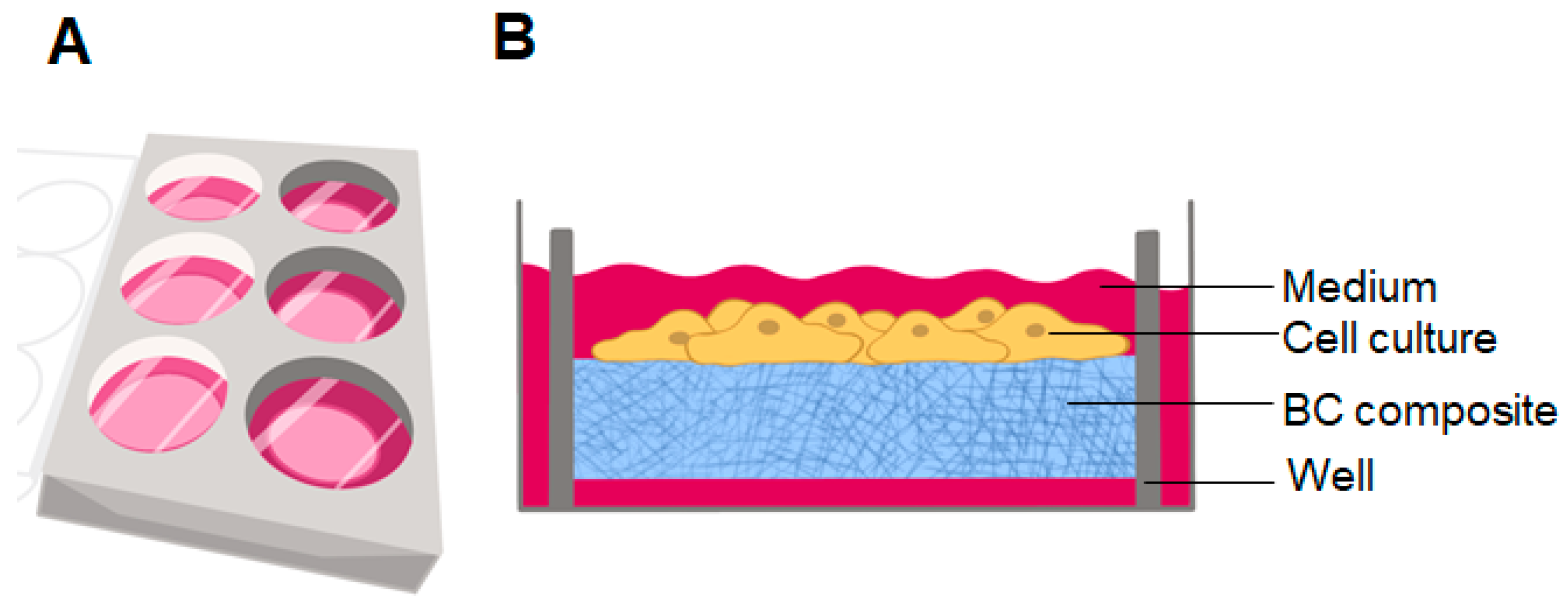 Polymers 16 02468 g004