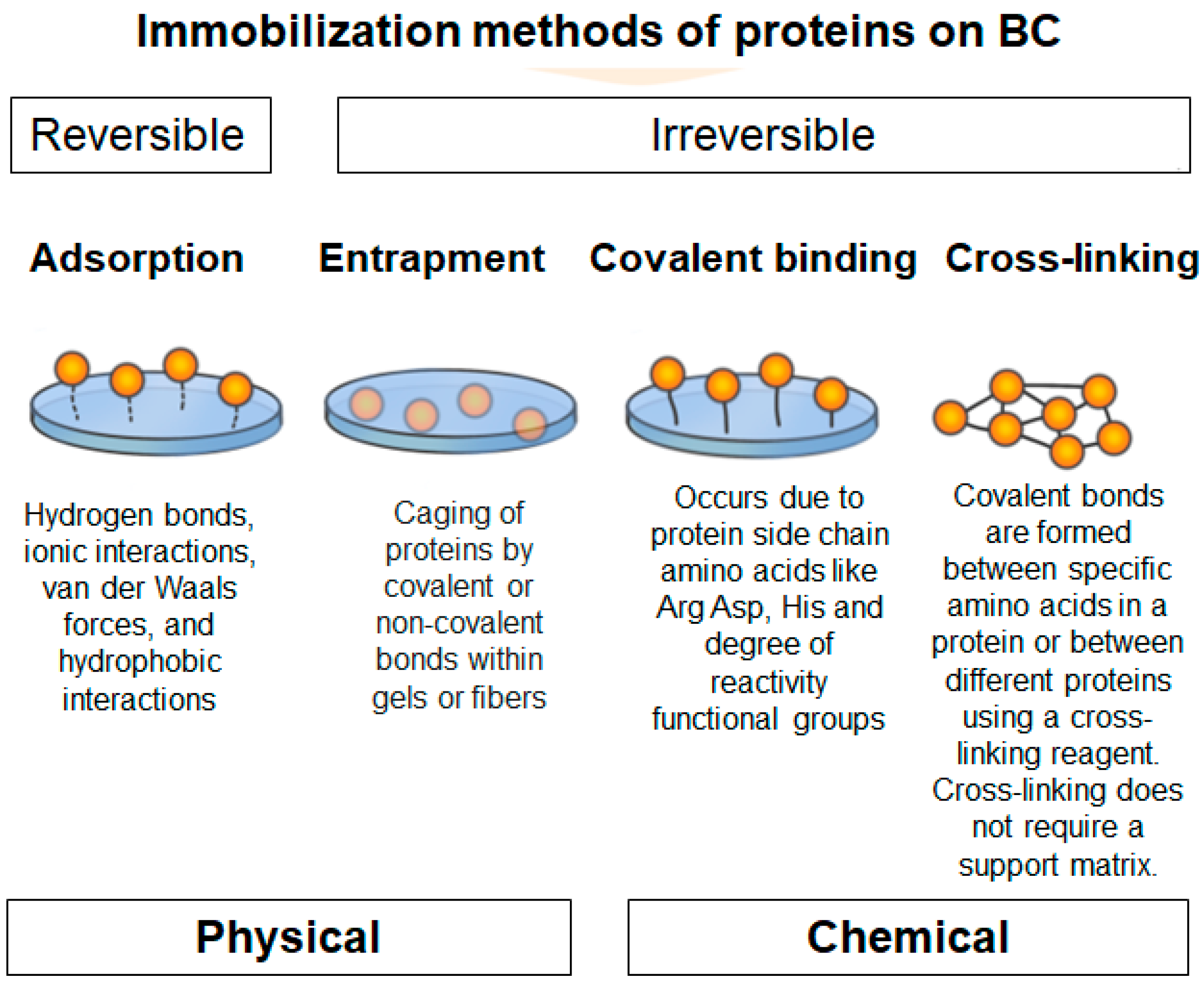 Polymers 16 02468 g006