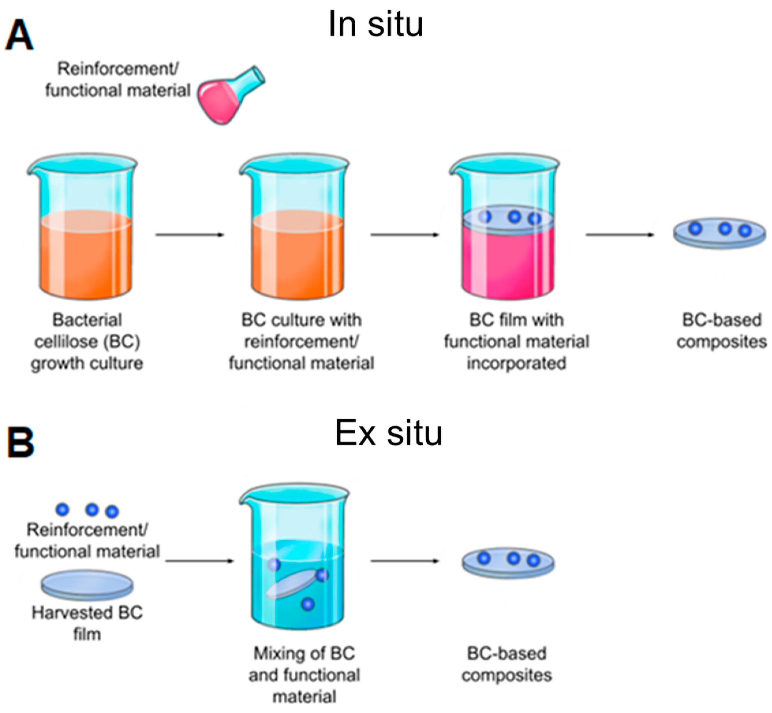 Polymers 16 02468 g007