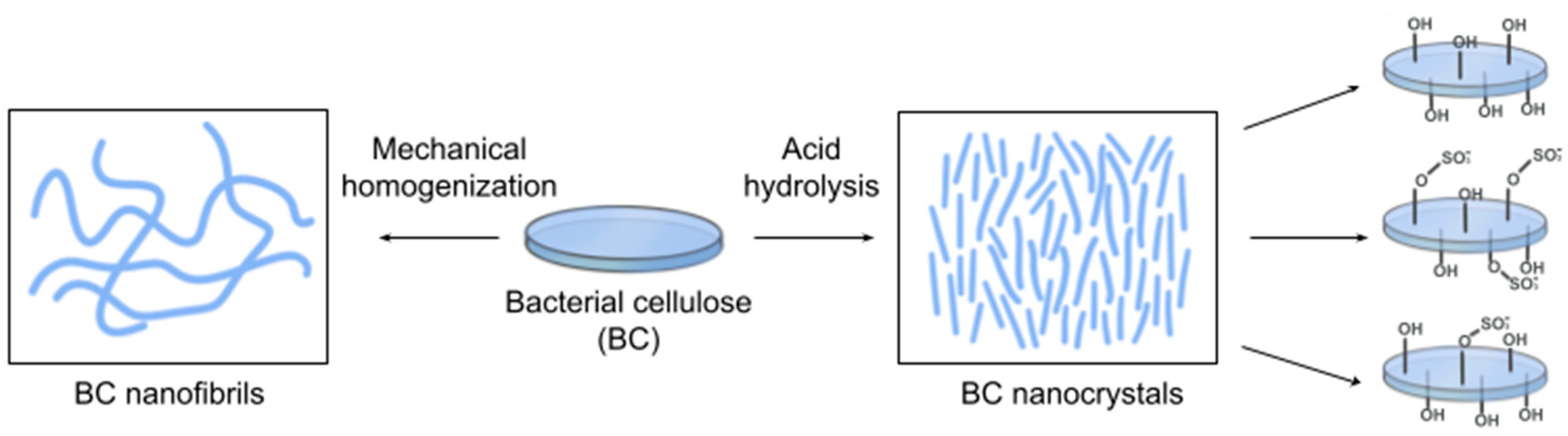 Polymers 16 02468 g009