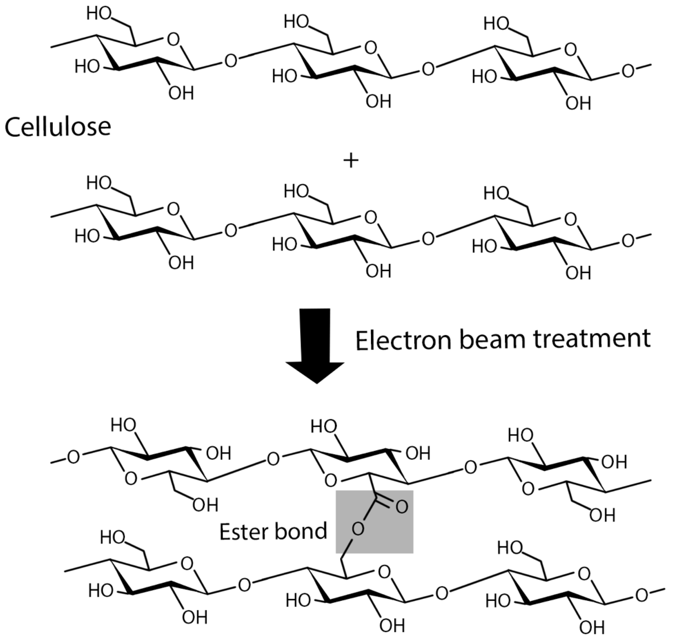Polymers 16 02468 g012