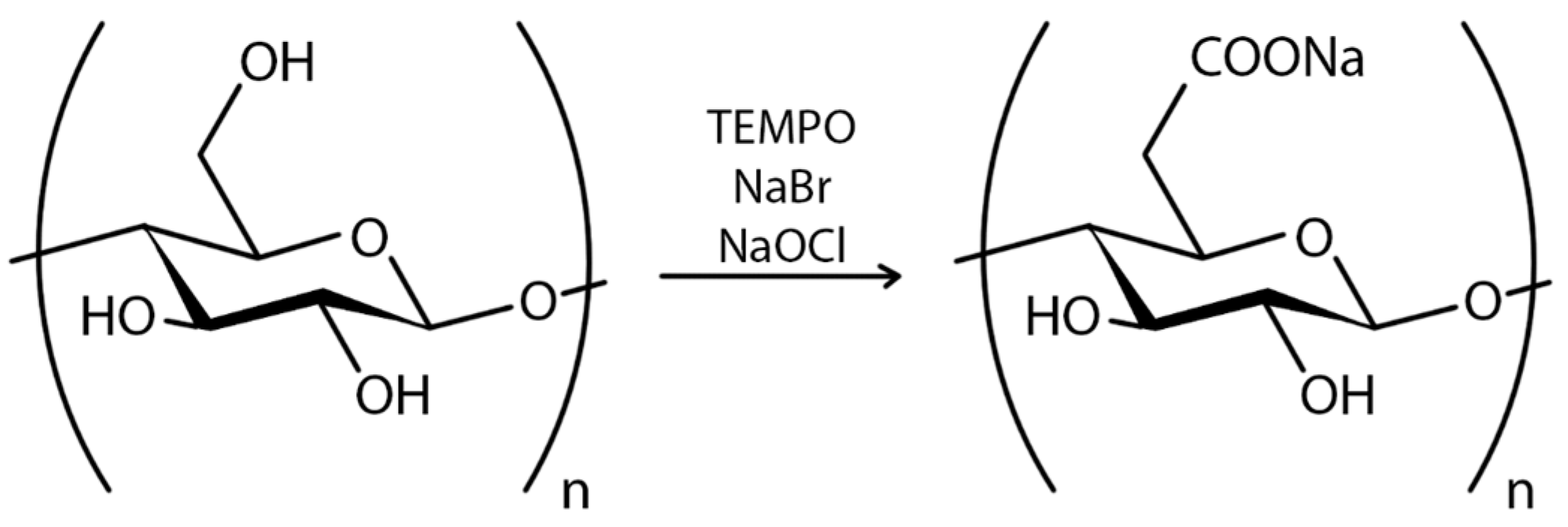Polymers 16 02468 g014