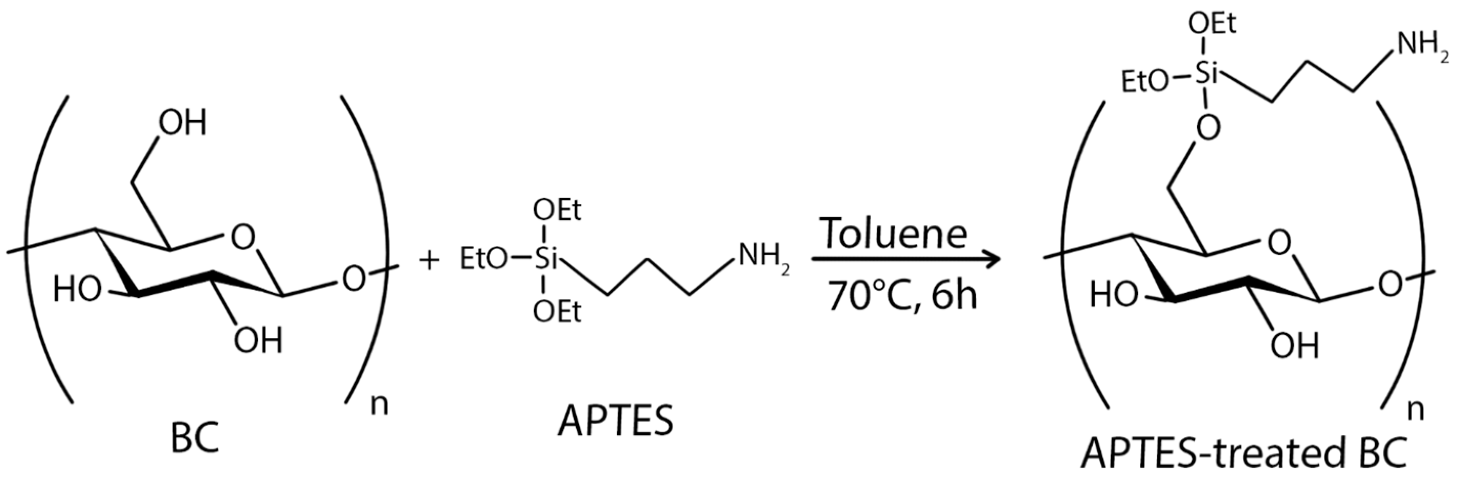 Polymers 16 02468 g015
