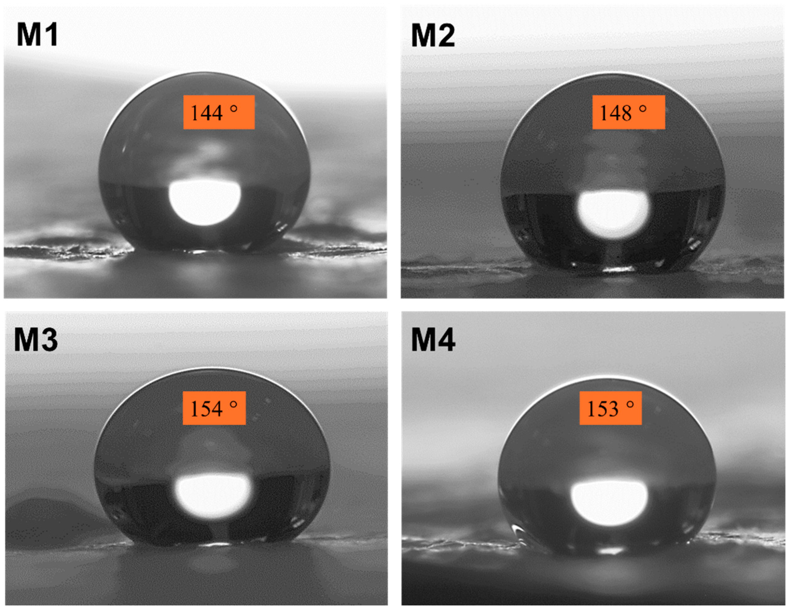 Polymers 16 02469 g004