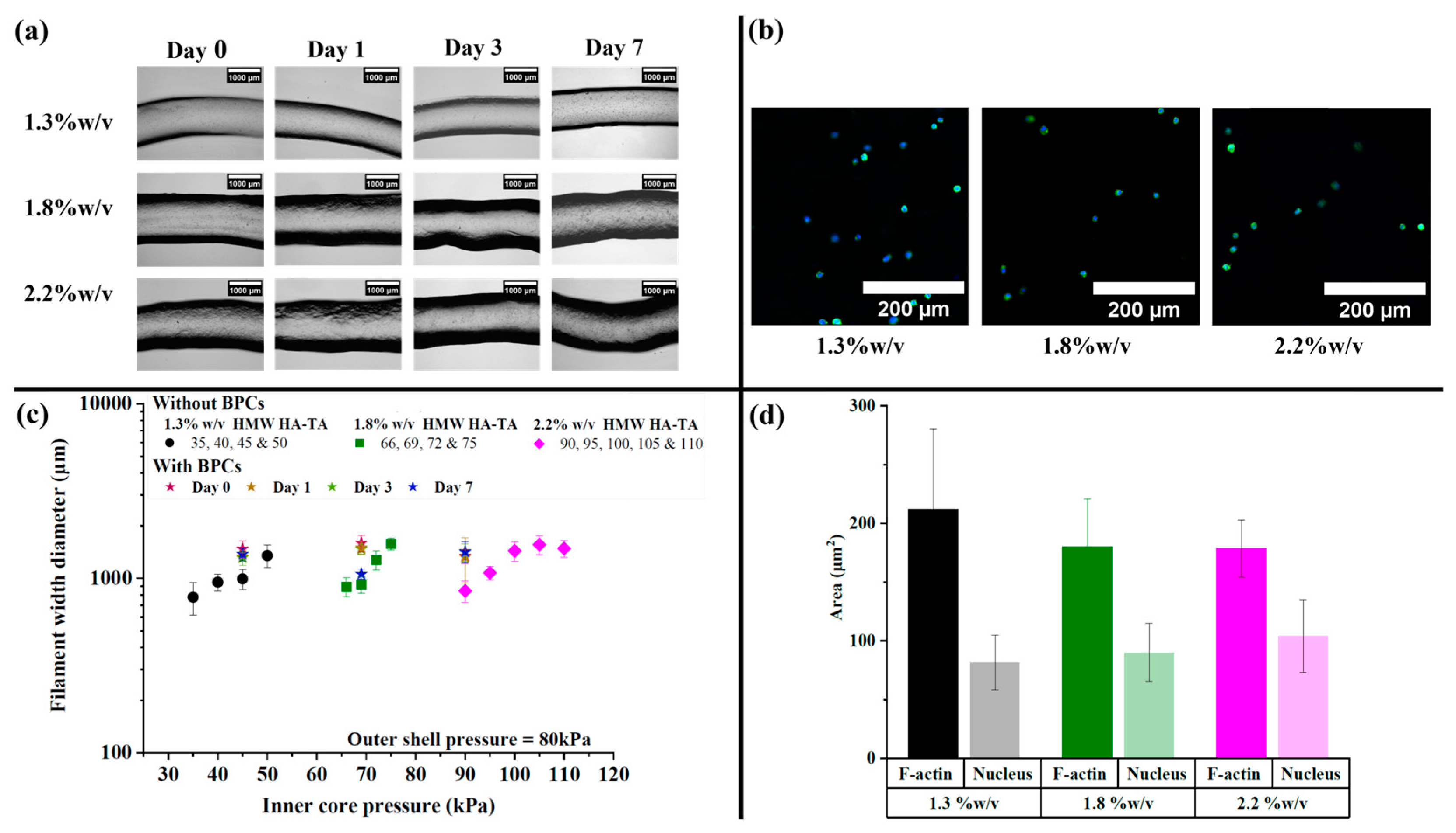 Polymers 16 02470 g005