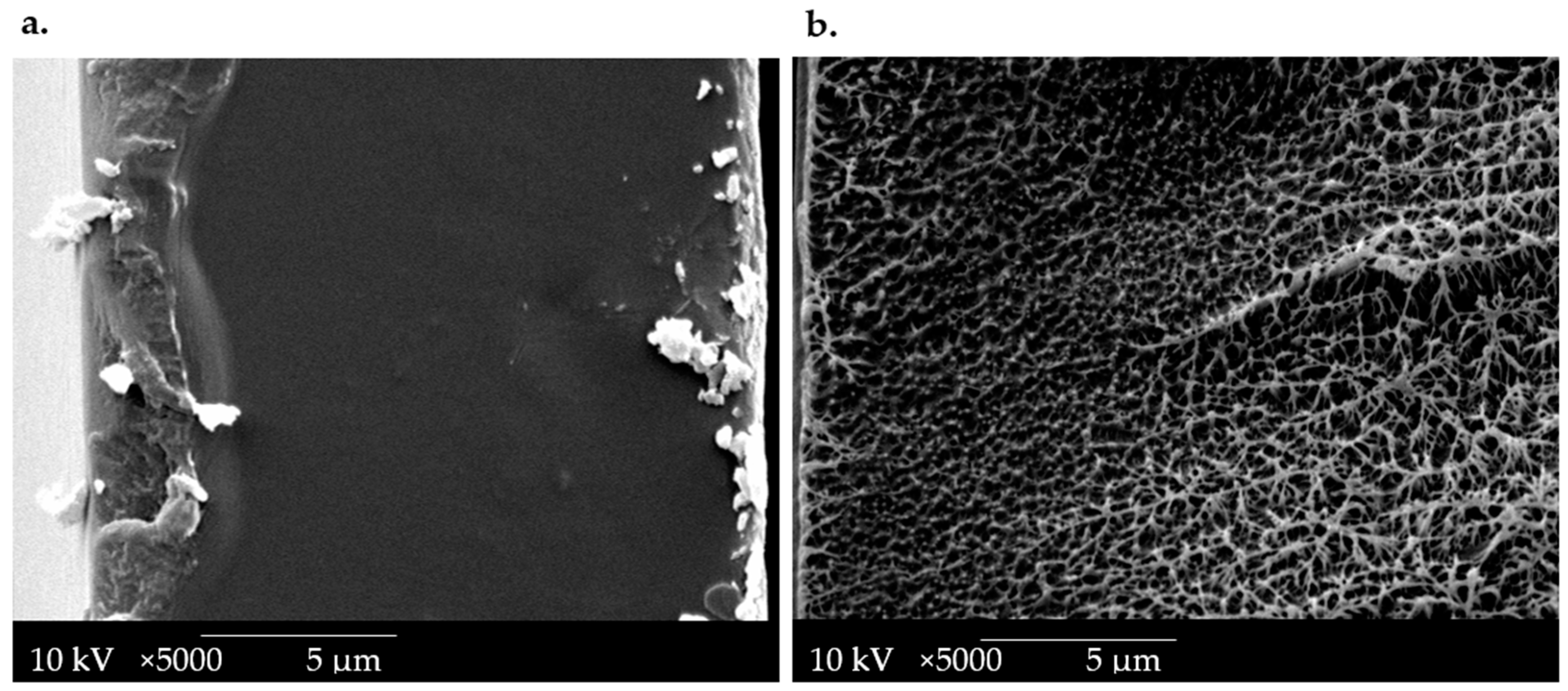 Polymers 16 02471 g003