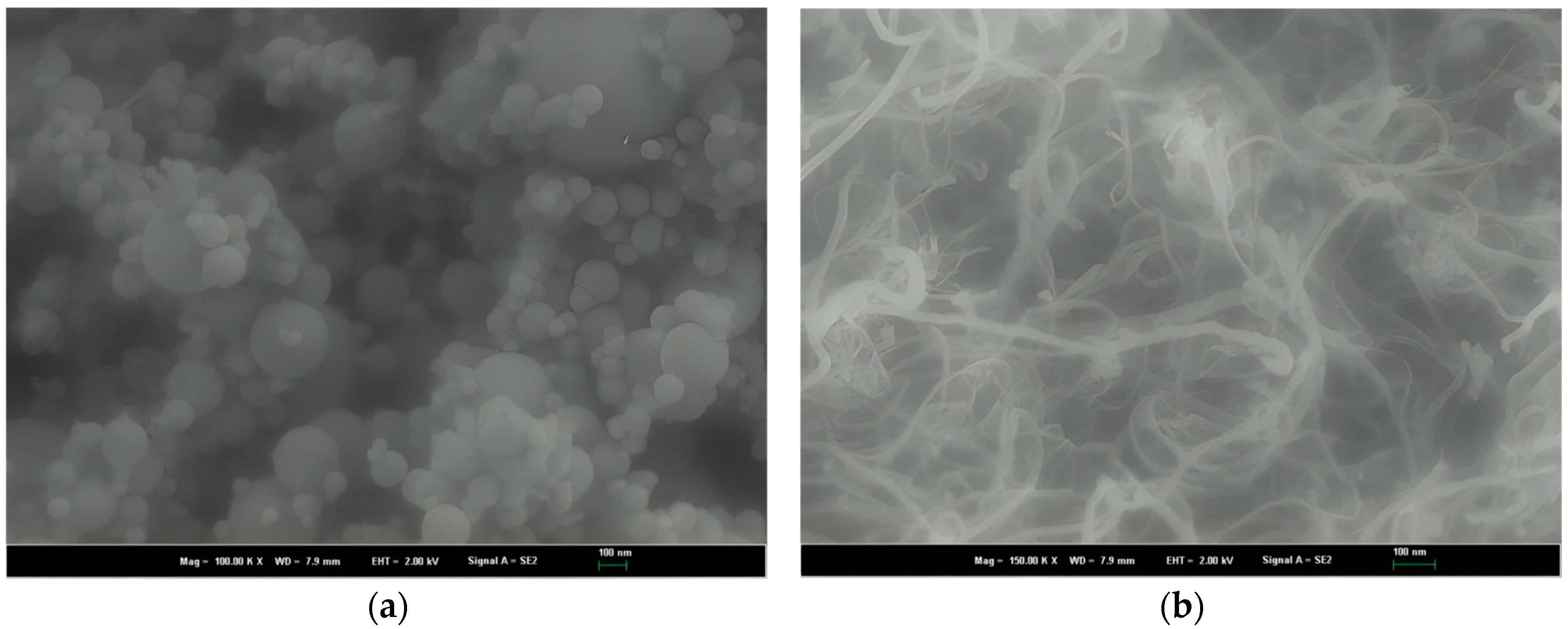 Polymers 16 02475 g001