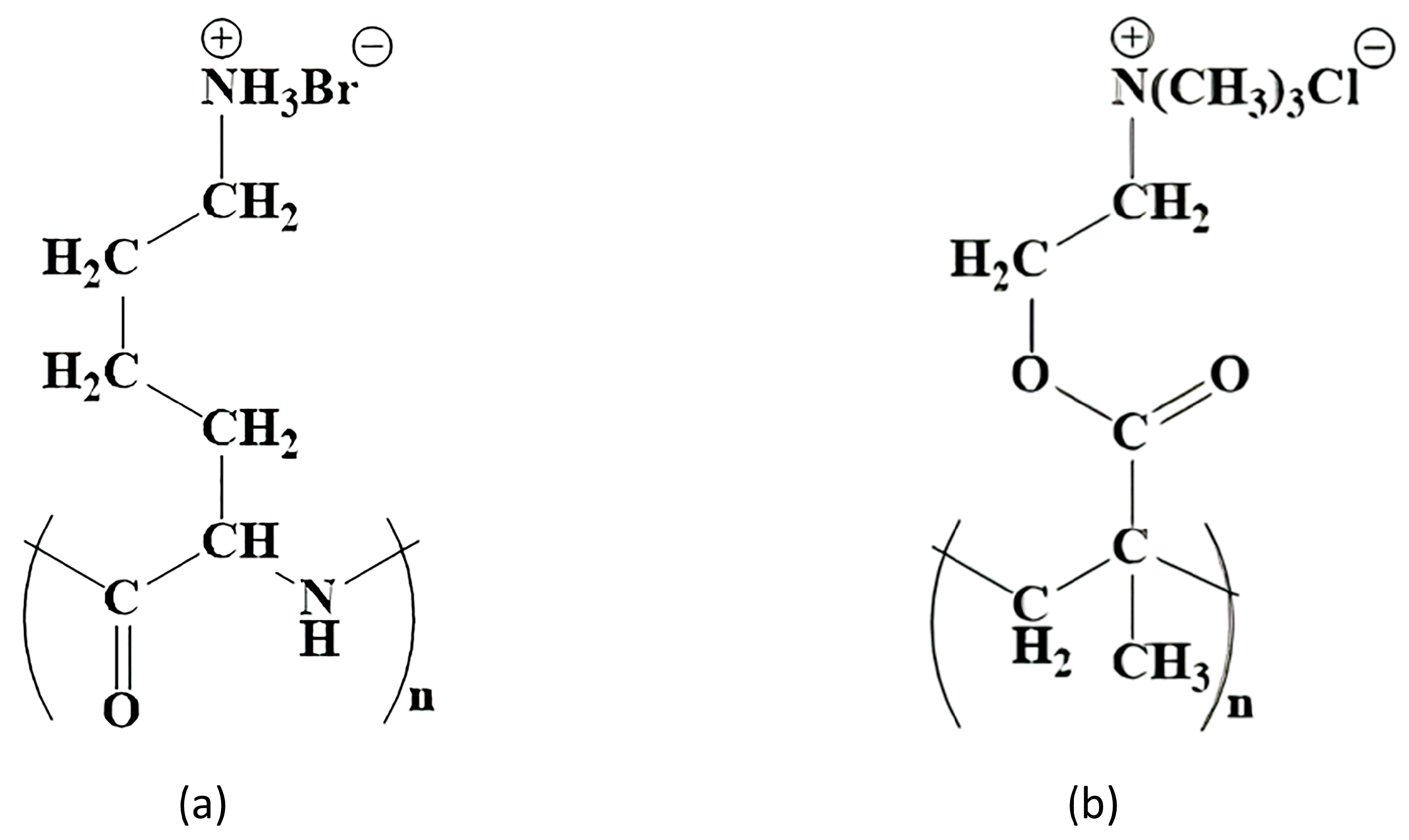 Polymers 16 02479 g001