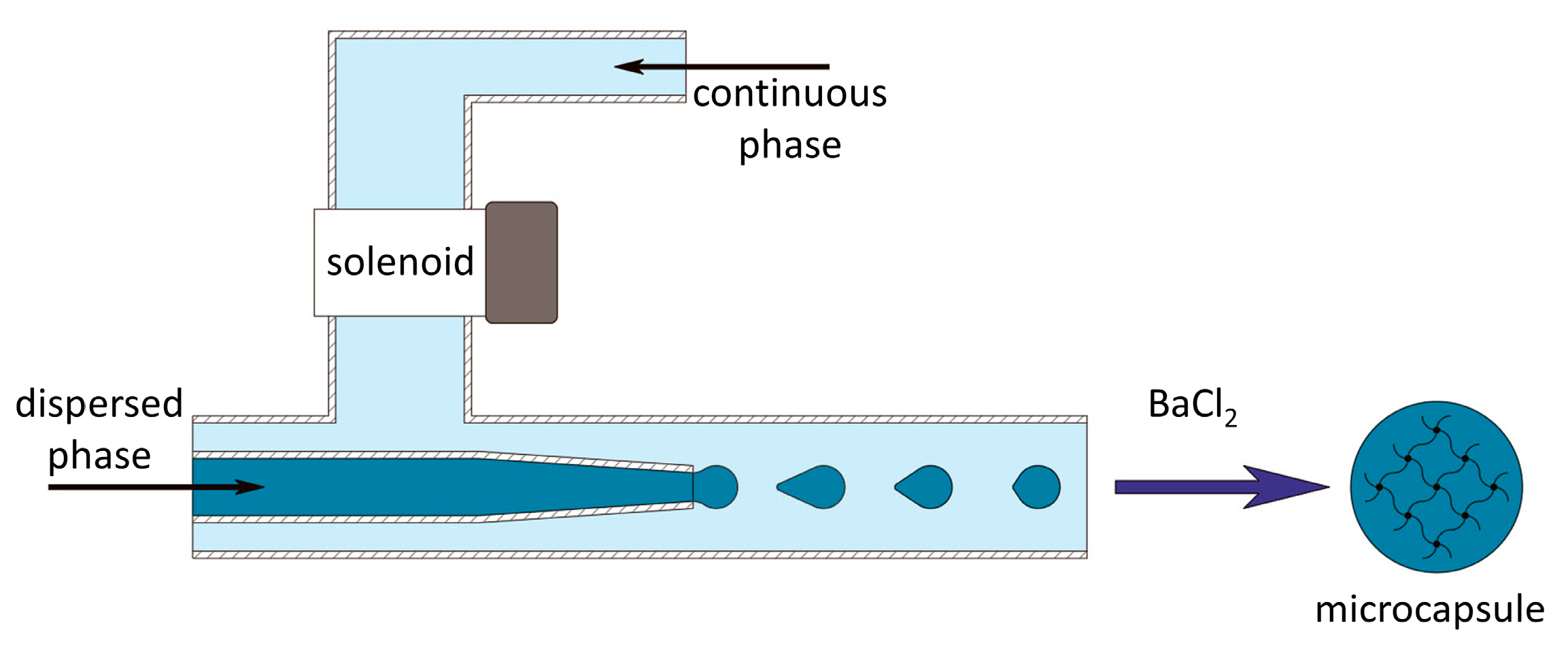 Polymers 16 02479 g002