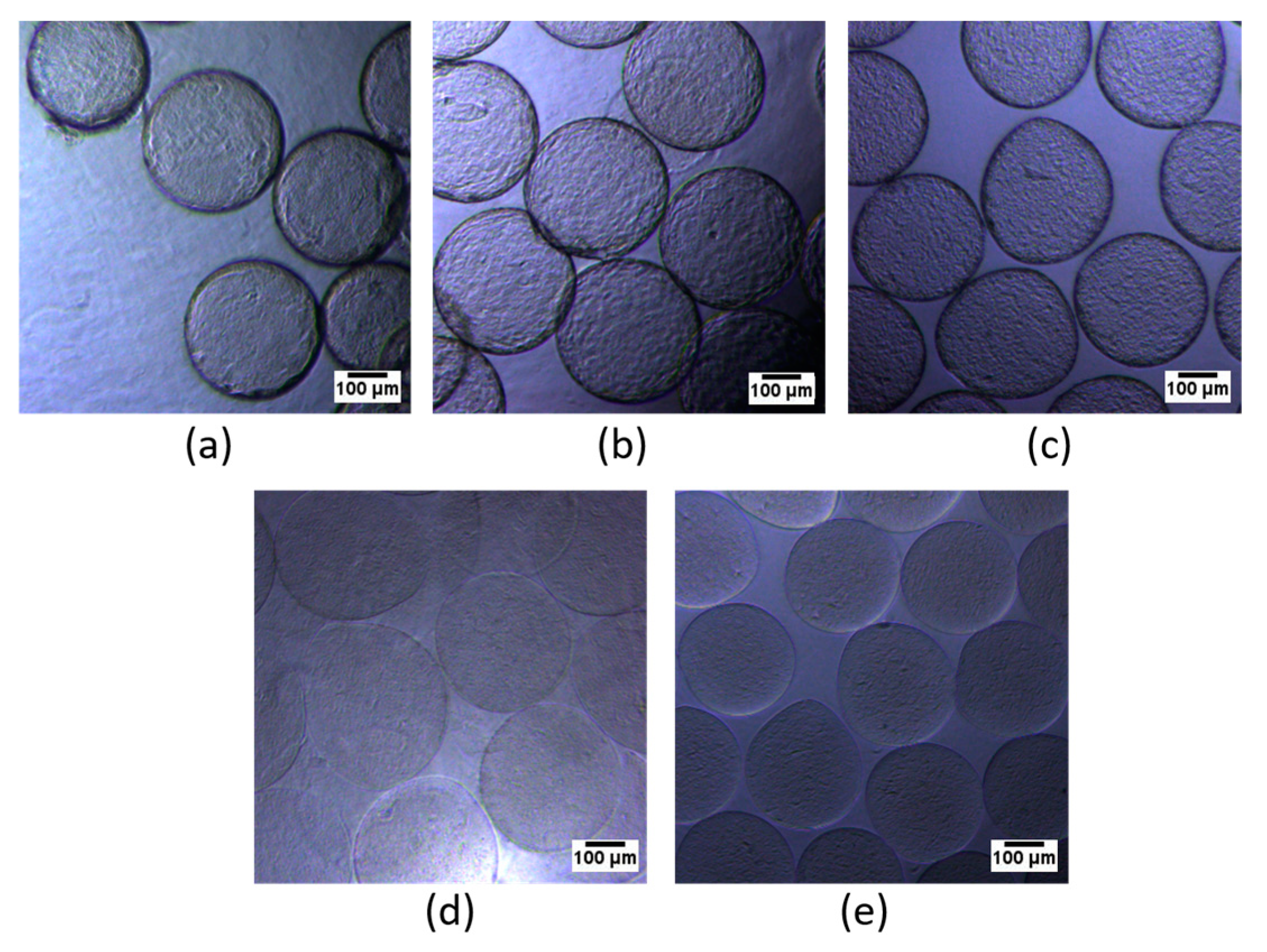 Polymers 16 02479 g003