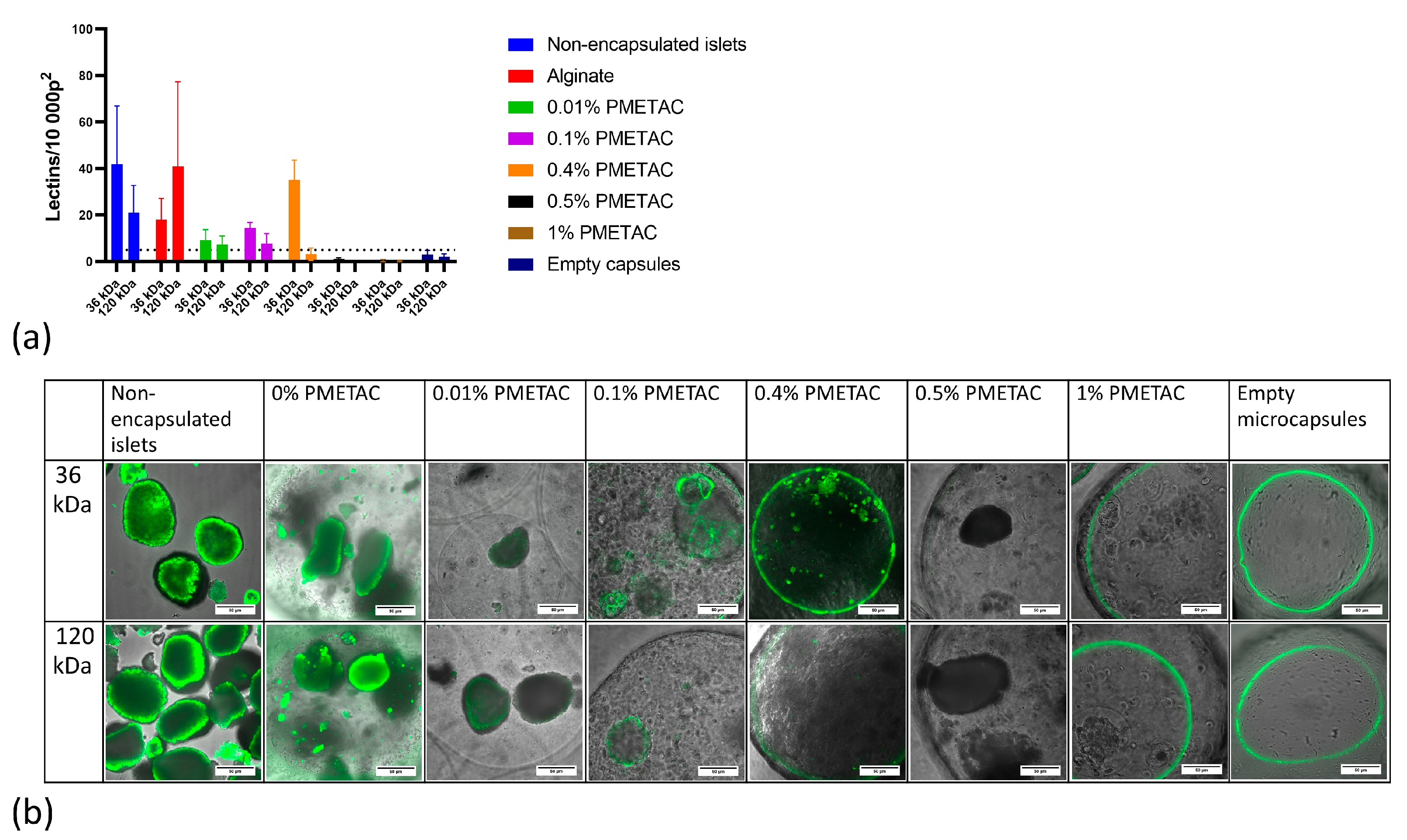 Polymers 16 02479 g004