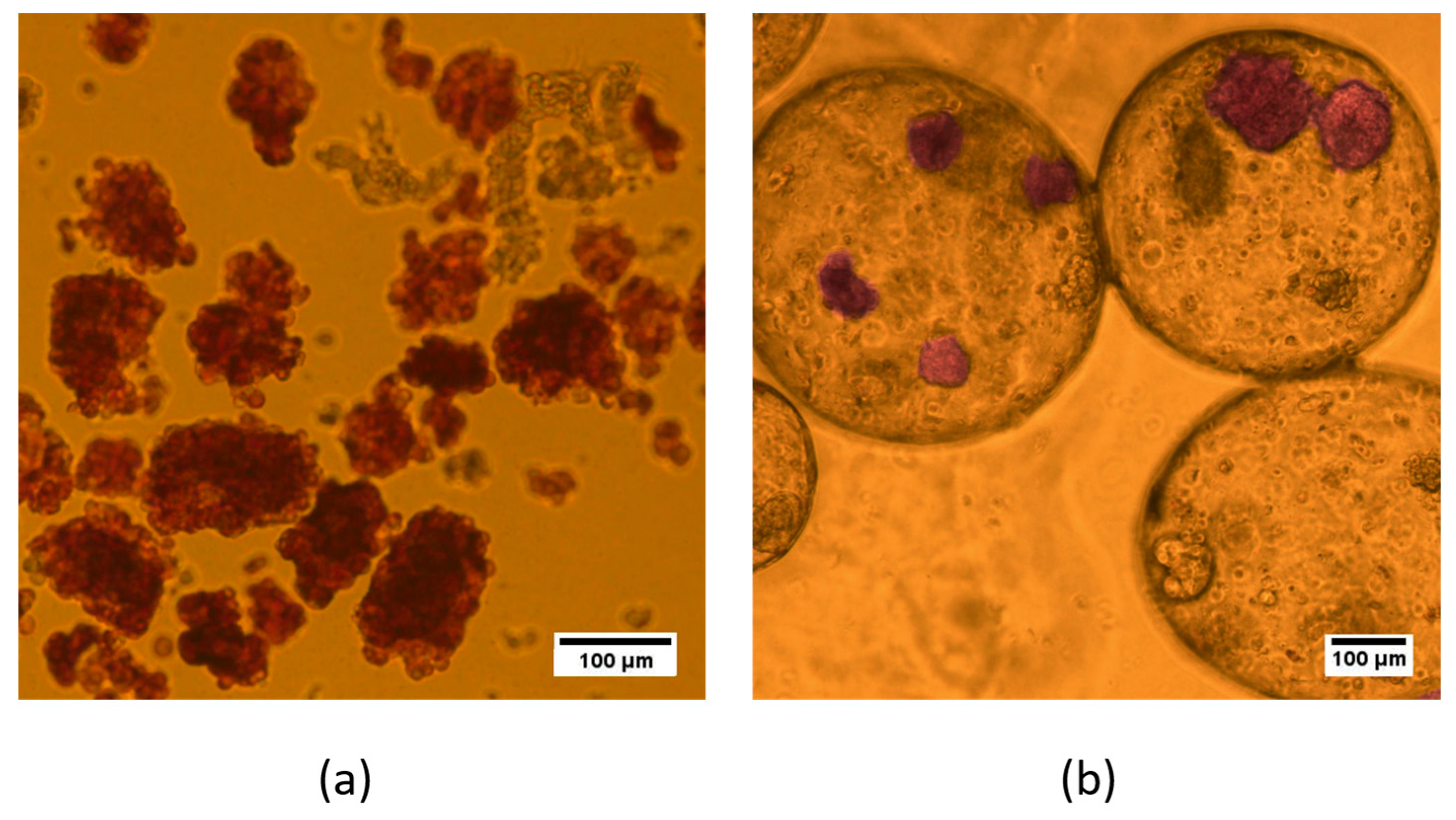 Polymers 16 02479 g010