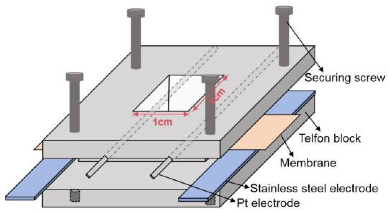 Polymers 16 02480 g001