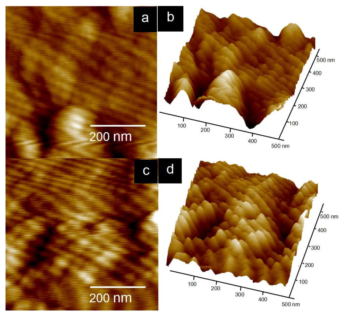 Polymers 16 02480 g008