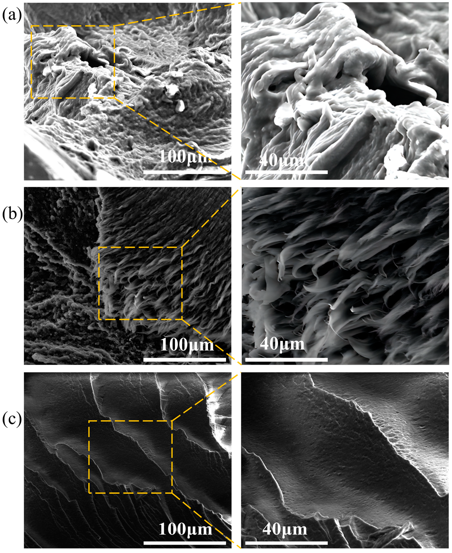 Polymers 16 02486 g008