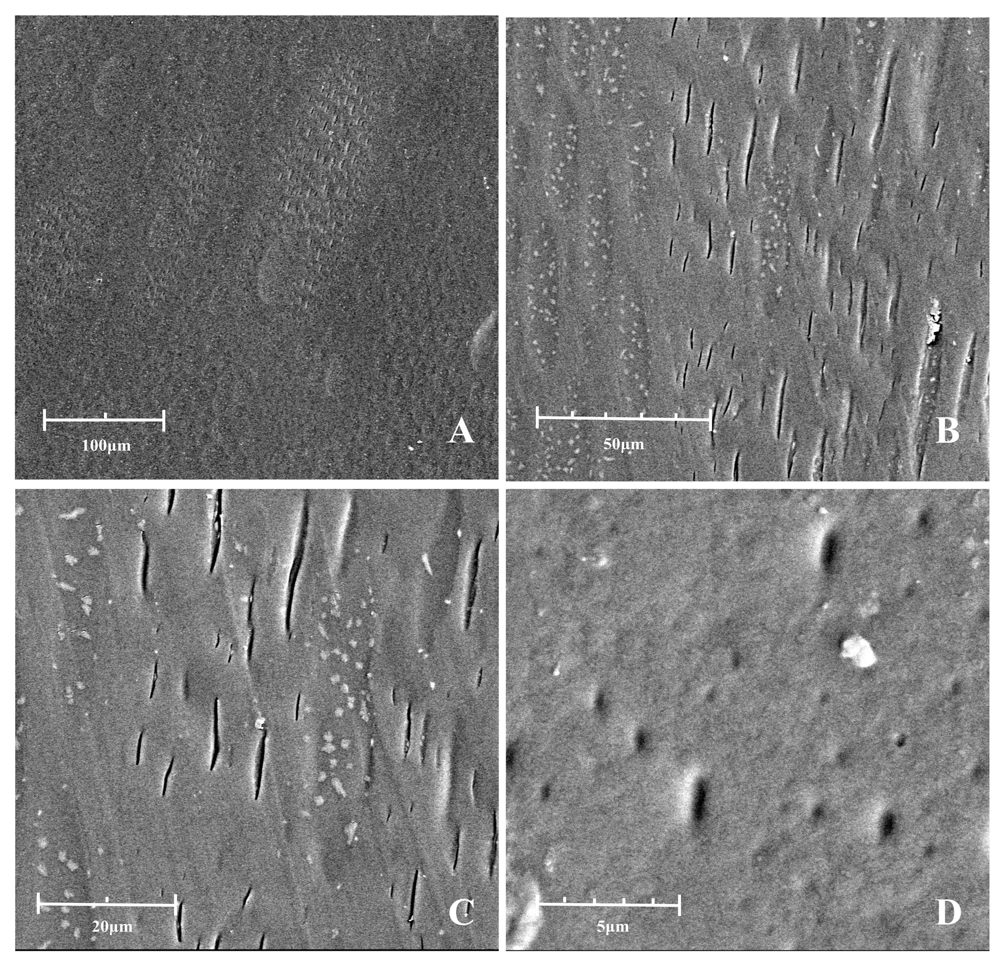 Polymers 16 02487 g002