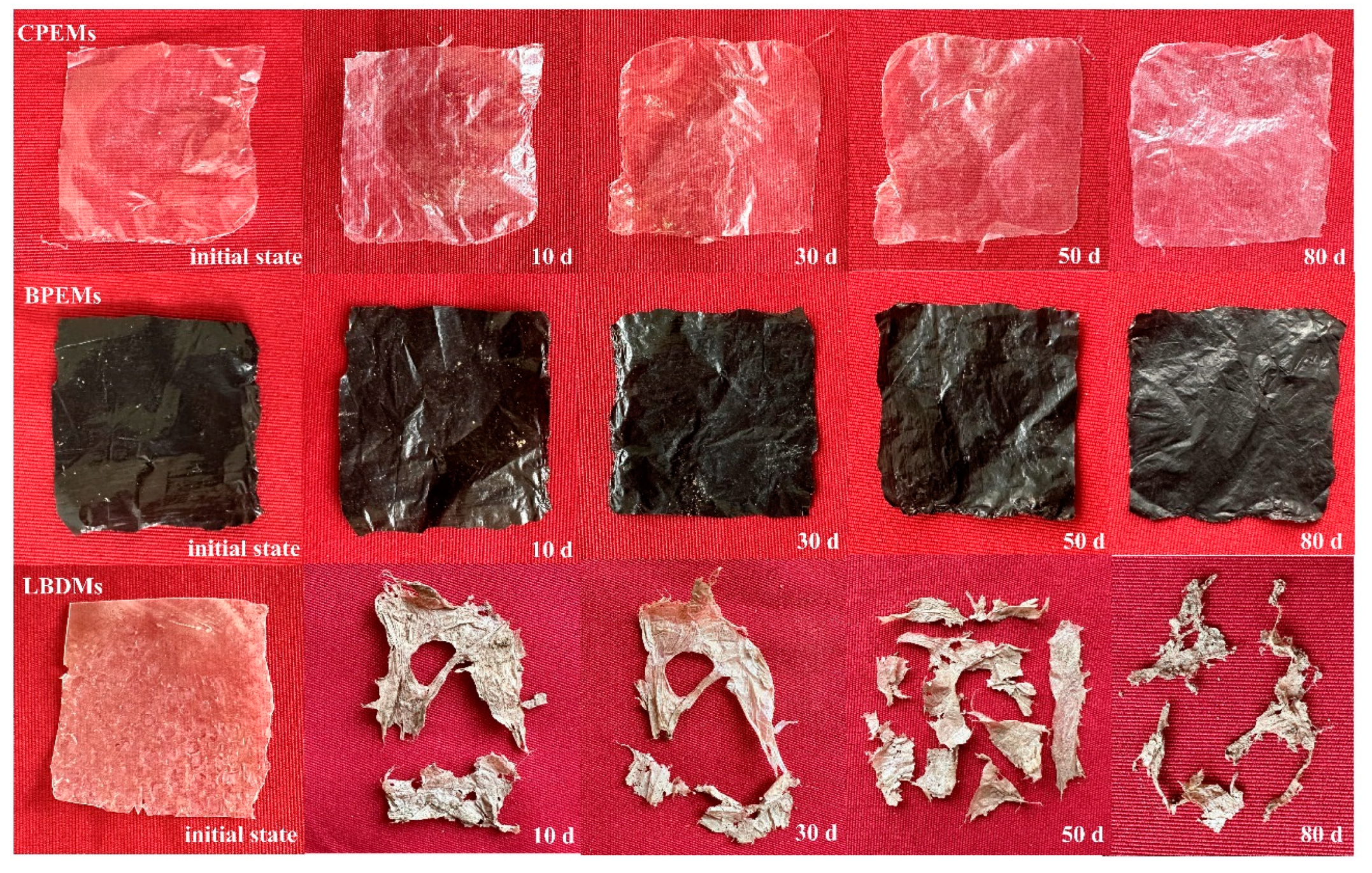 Polymers 16 02487 g005